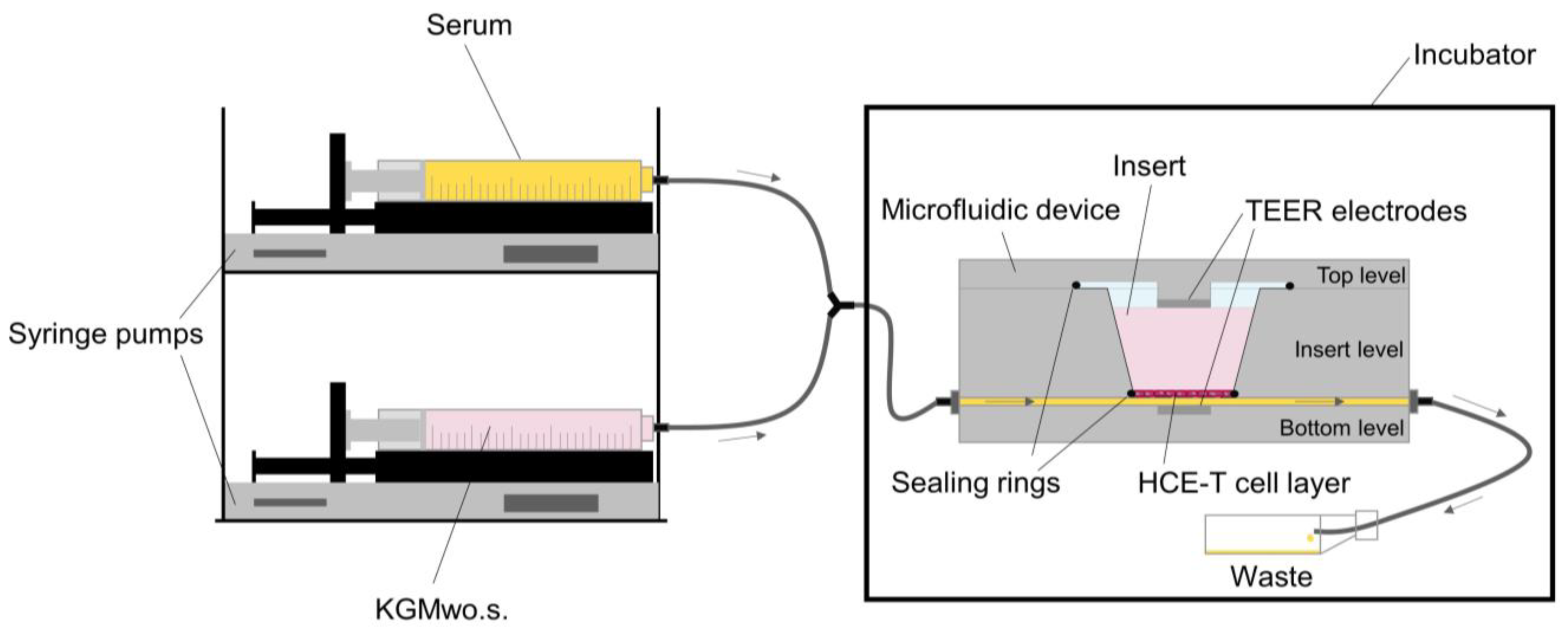 Ijms 24 01567 g013 Ijms 24 01567 g013