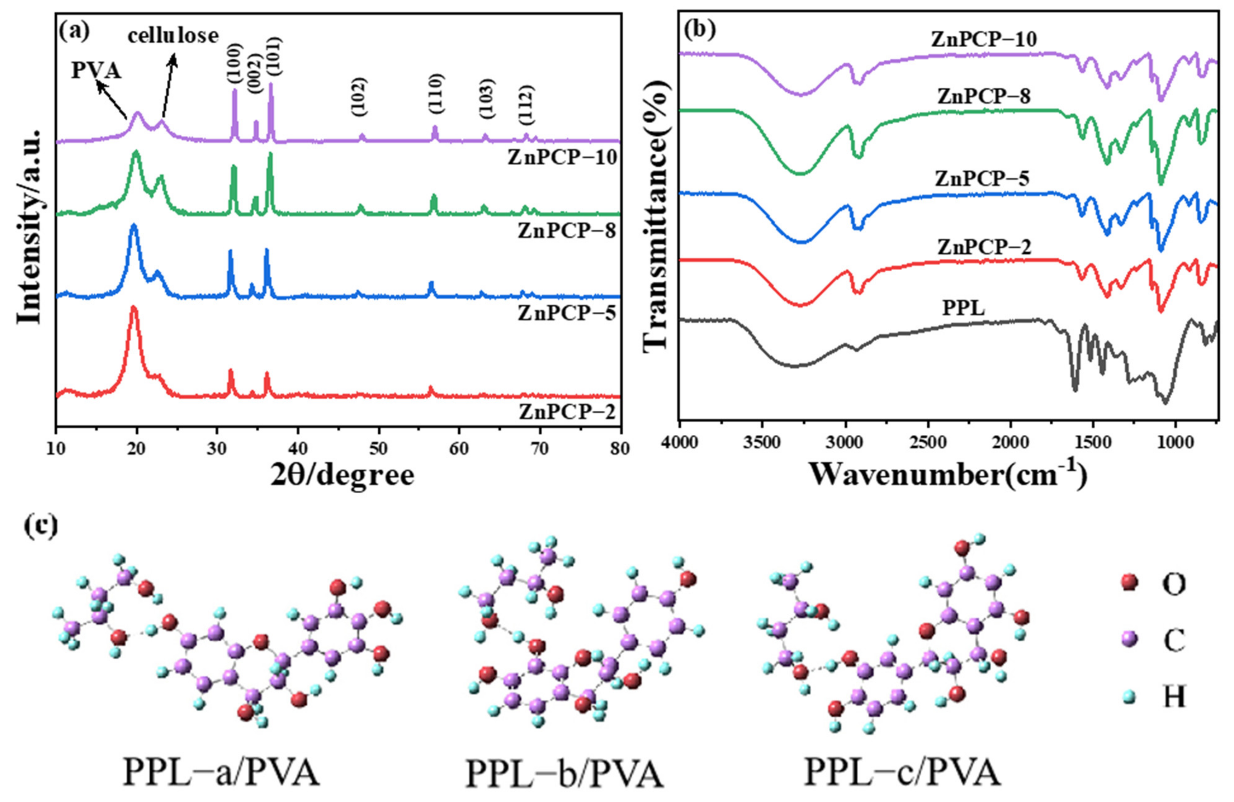 Ijms 24 01577 g001 Ijms 24 01577 g001