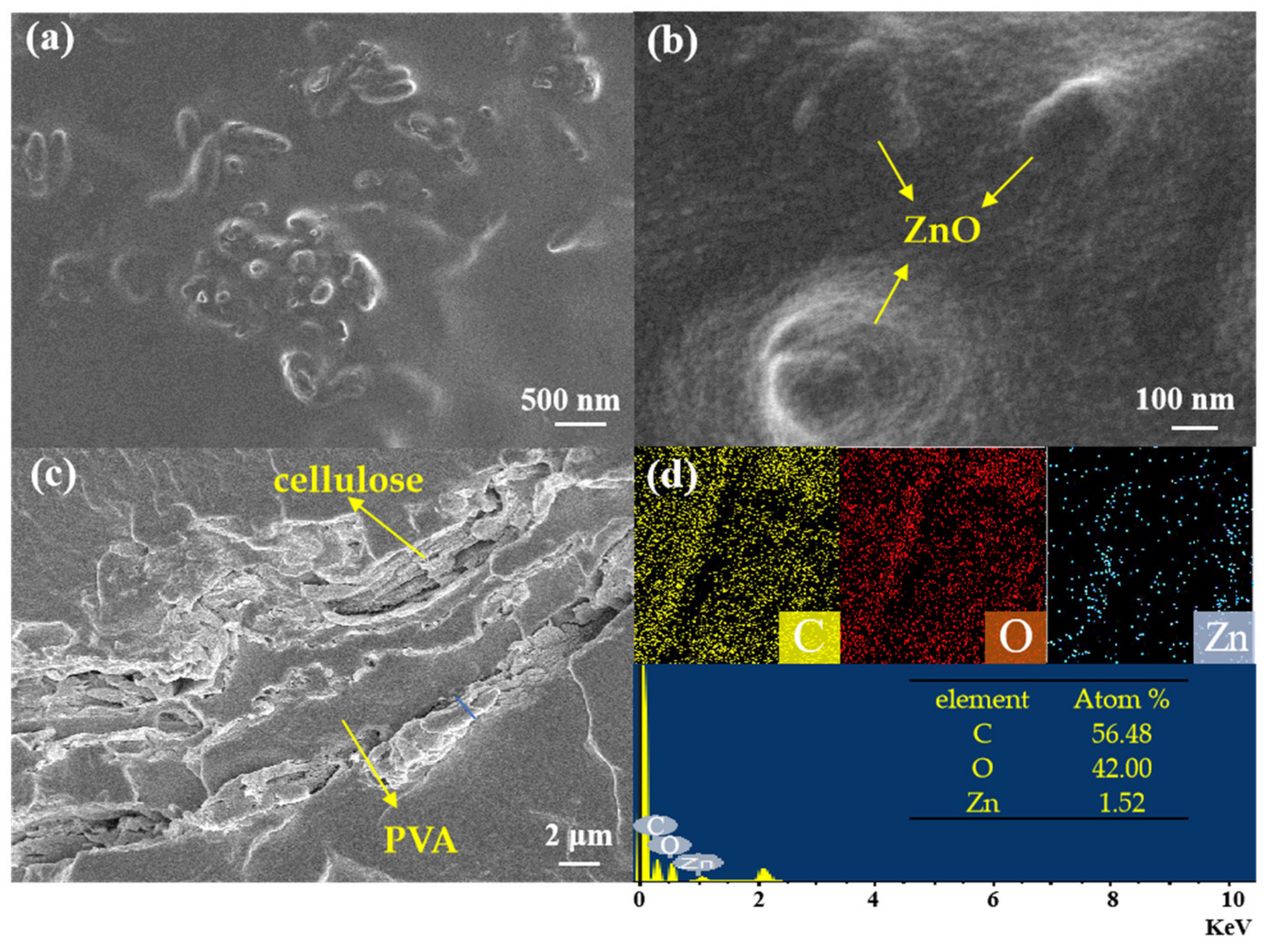 Ijms 24 01577 g002 Ijms 24 01577 g002