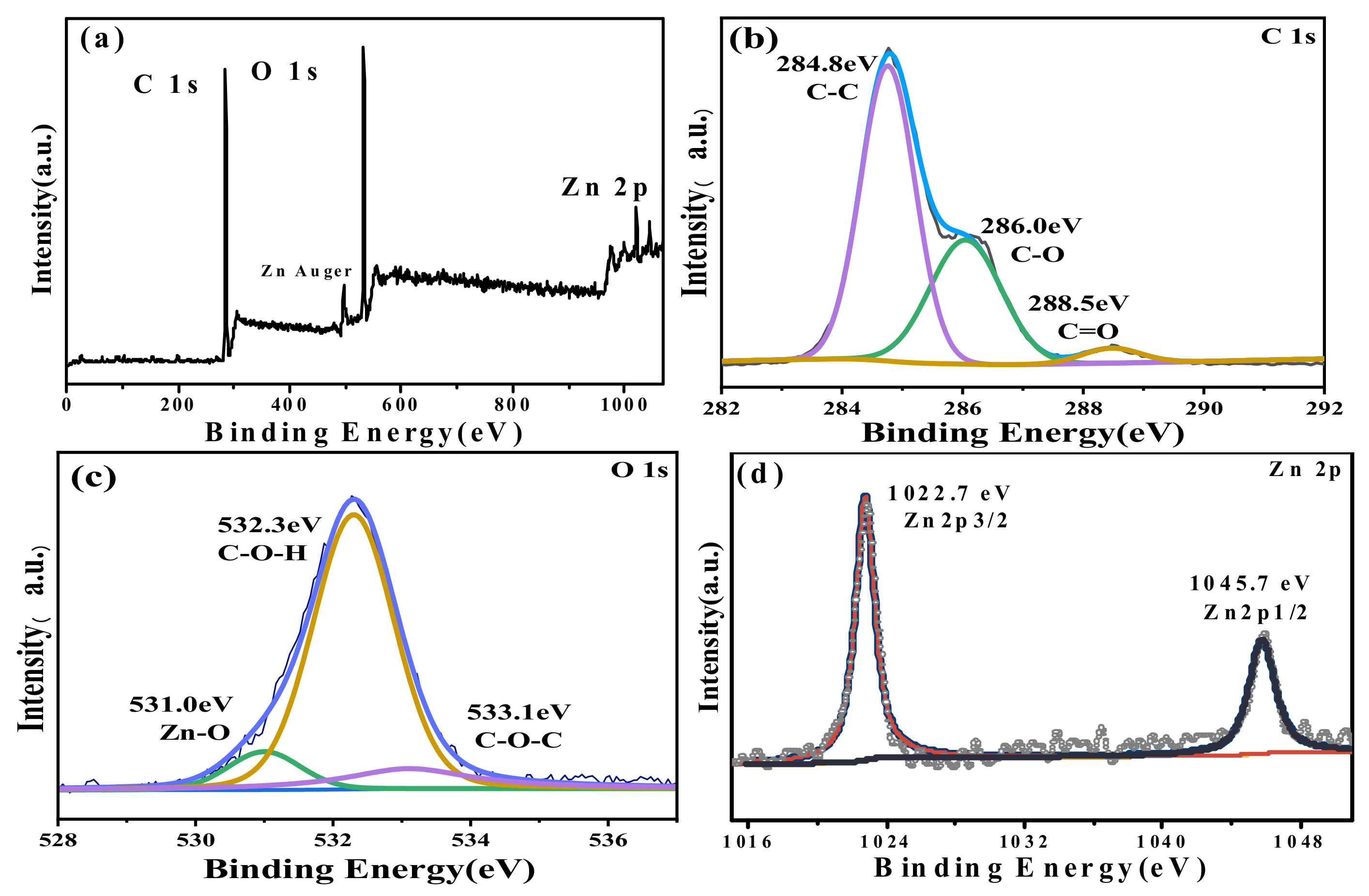 Ijms 24 01577 g003 Ijms 24 01577 g003