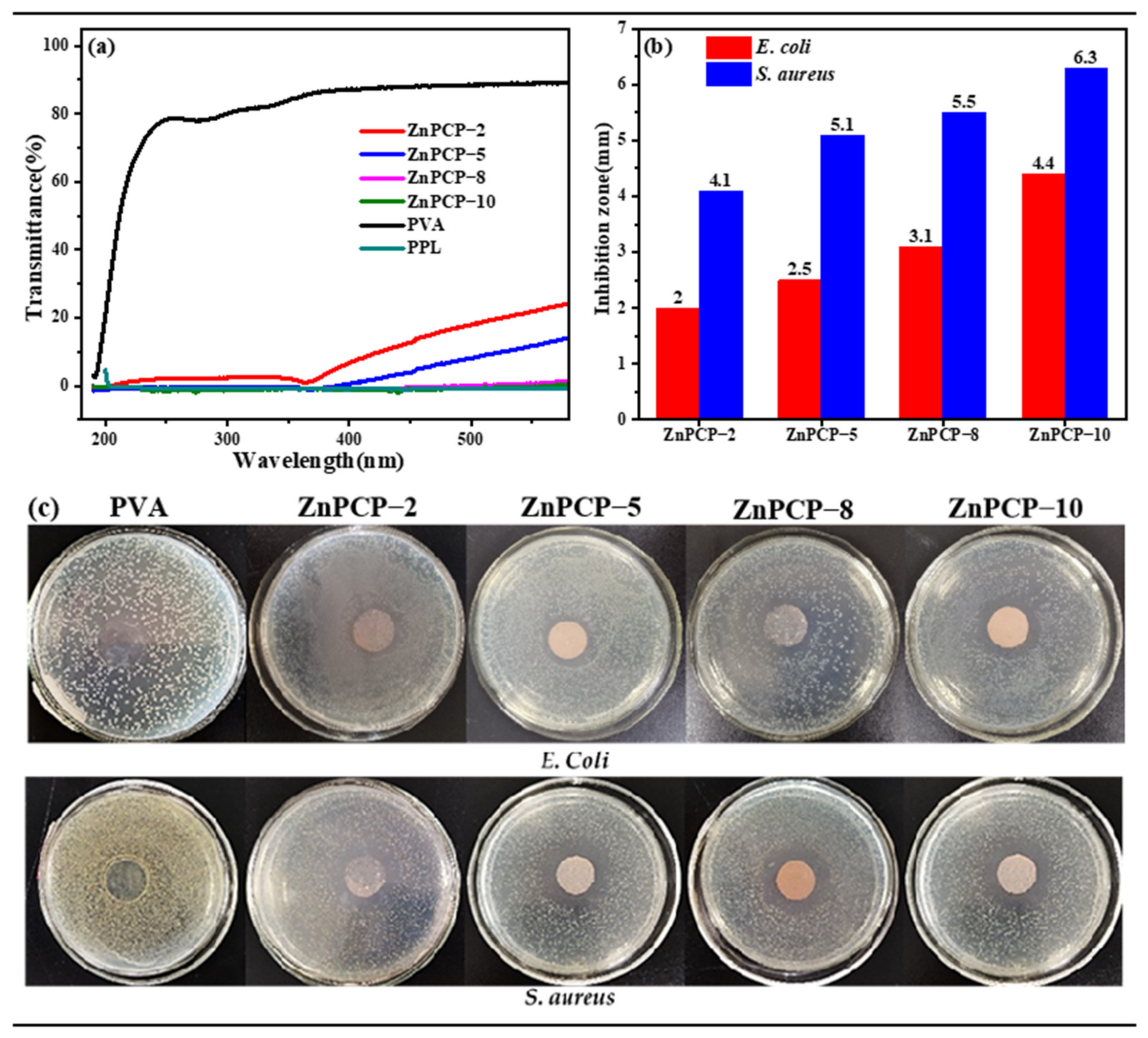 Ijms 24 01577 g004 Ijms 24 01577 g004