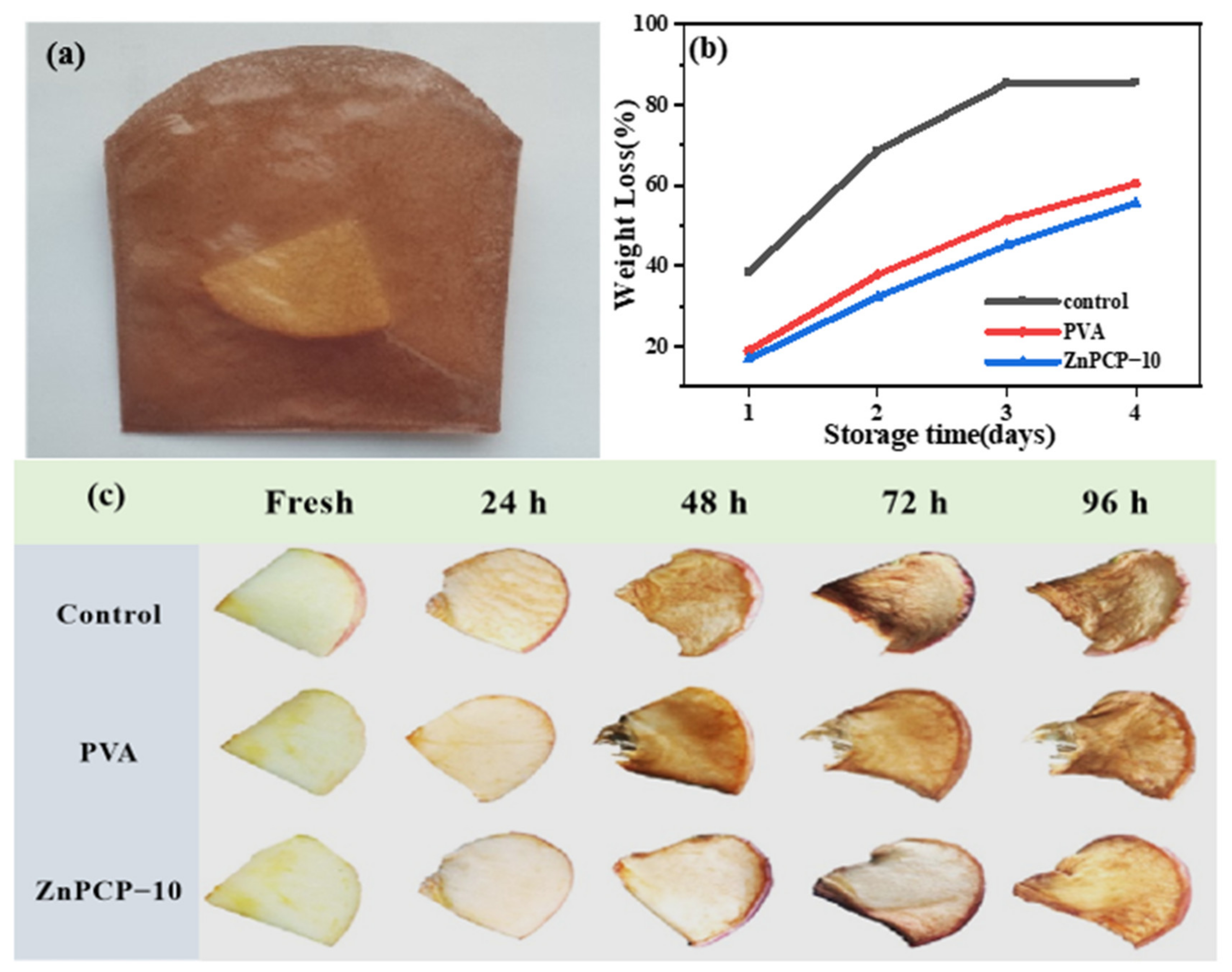 Ijms 24 01577 g006 Ijms 24 01577 g006