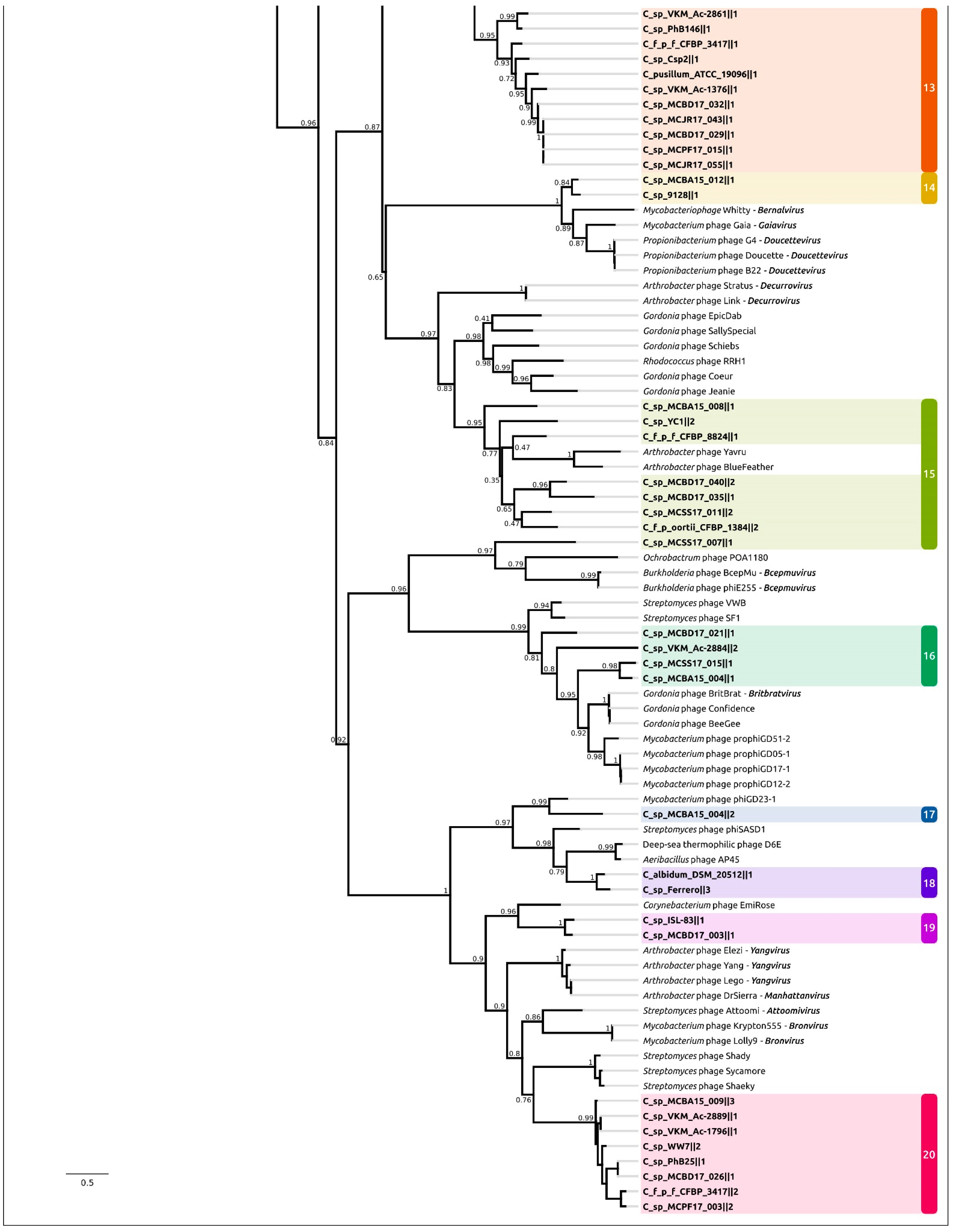 Ijms 24 01586 g004b Ijms 24 01586 g004b