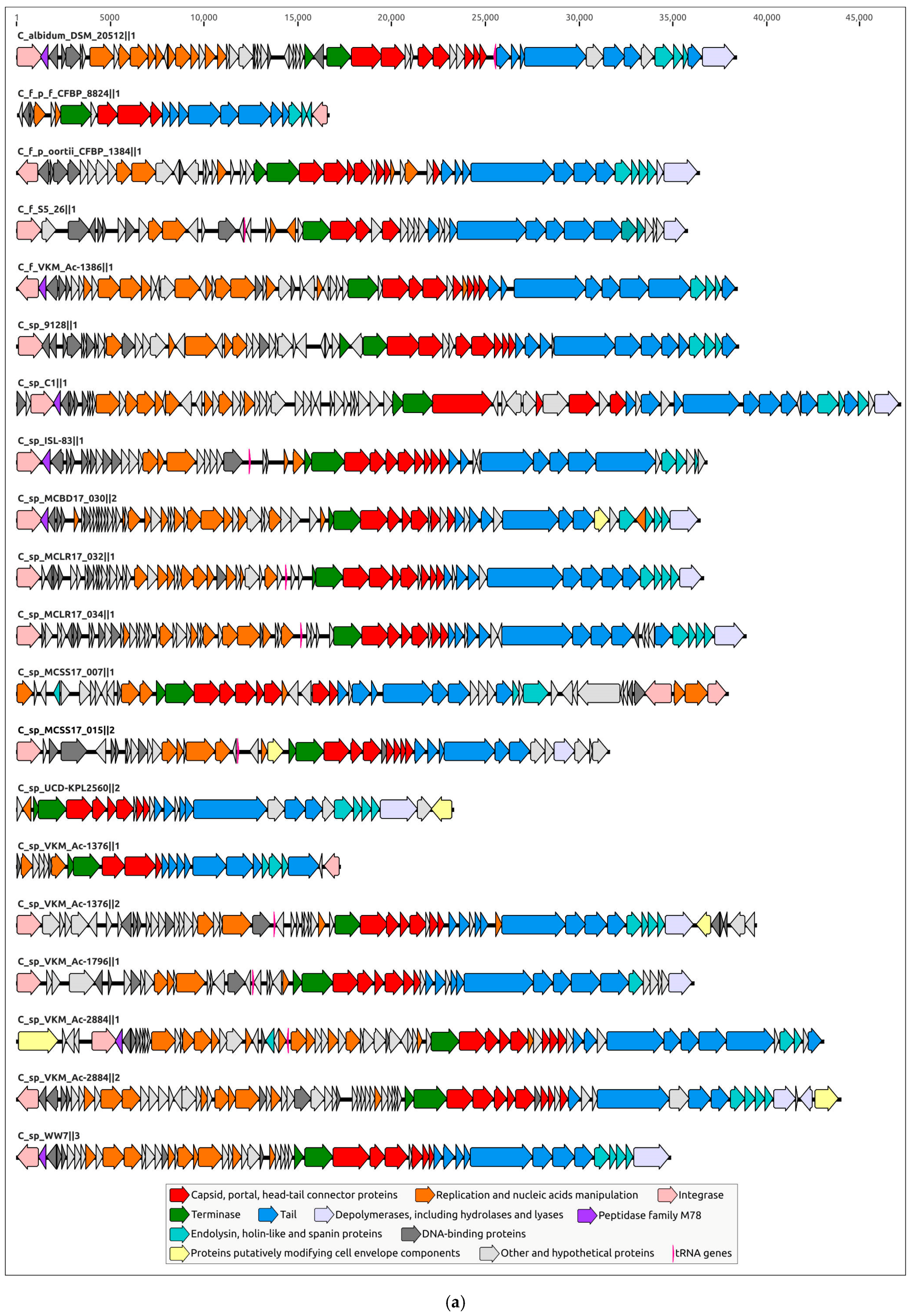 Ijms 24 01586 g005a Ijms 24 01586 g005a