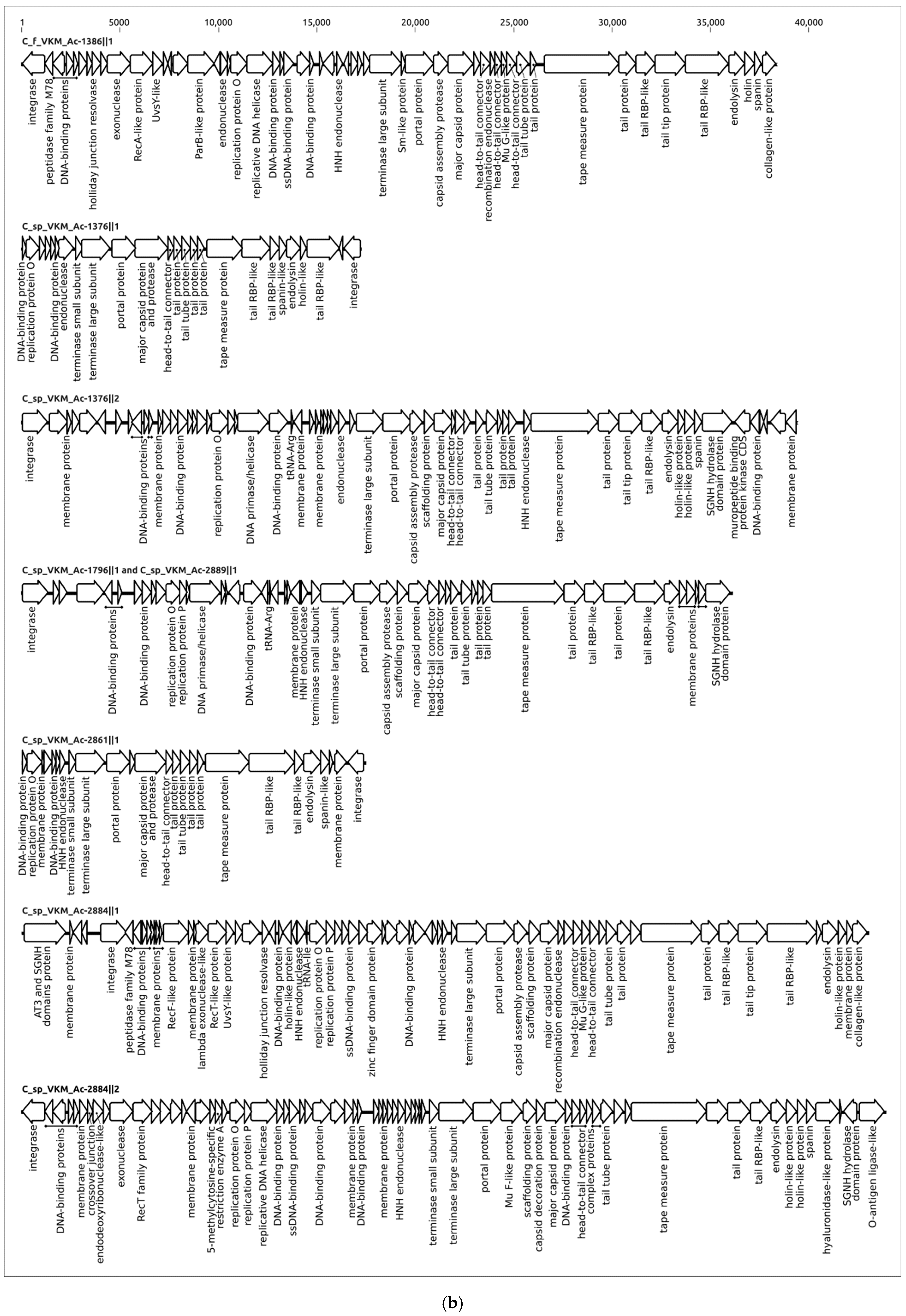 Ijms 24 01586 g005b Ijms 24 01586 g005b