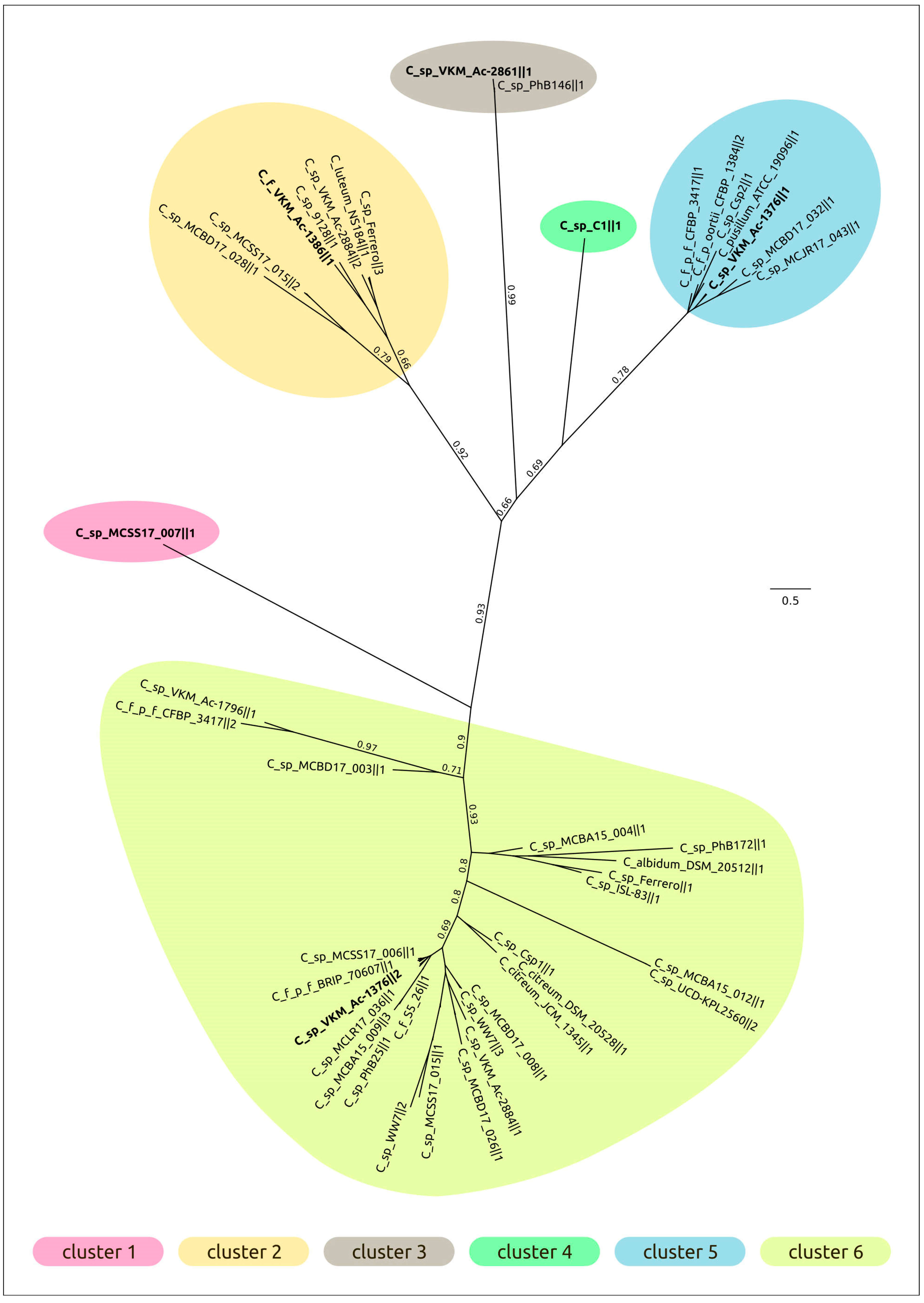 Ijms 24 01586 g007 Ijms 24 01586 g007