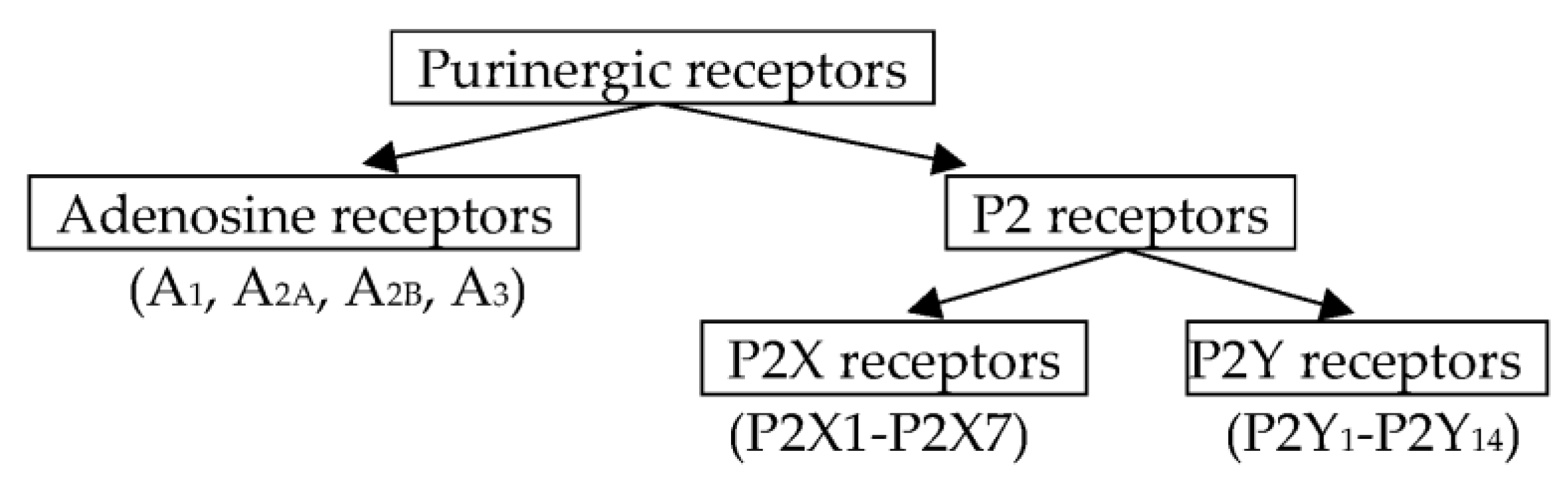 Ijms 24 01587 g001 Ijms 24 01587 g001