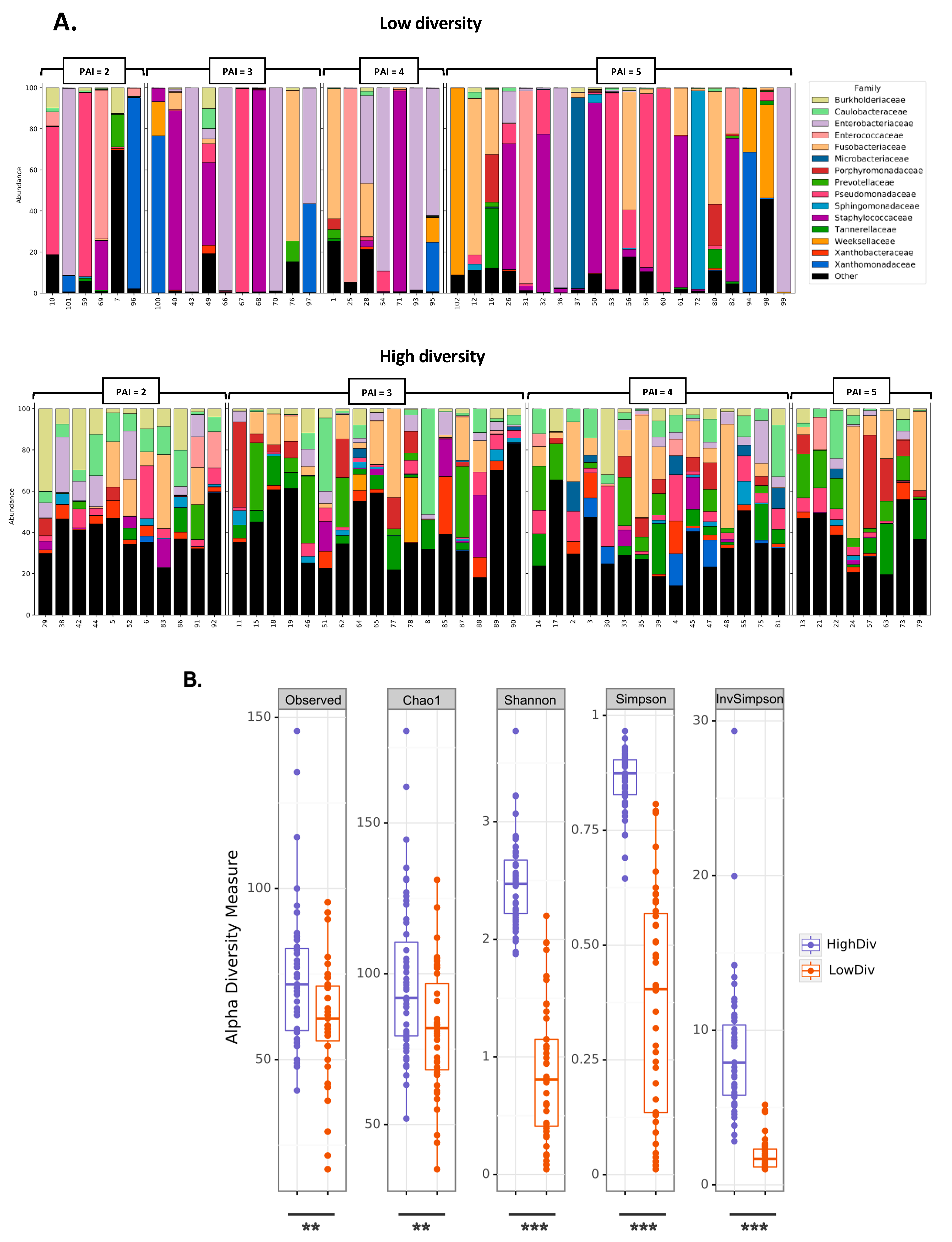 Ijms 24 01589 g002 Ijms 24 01589 g002