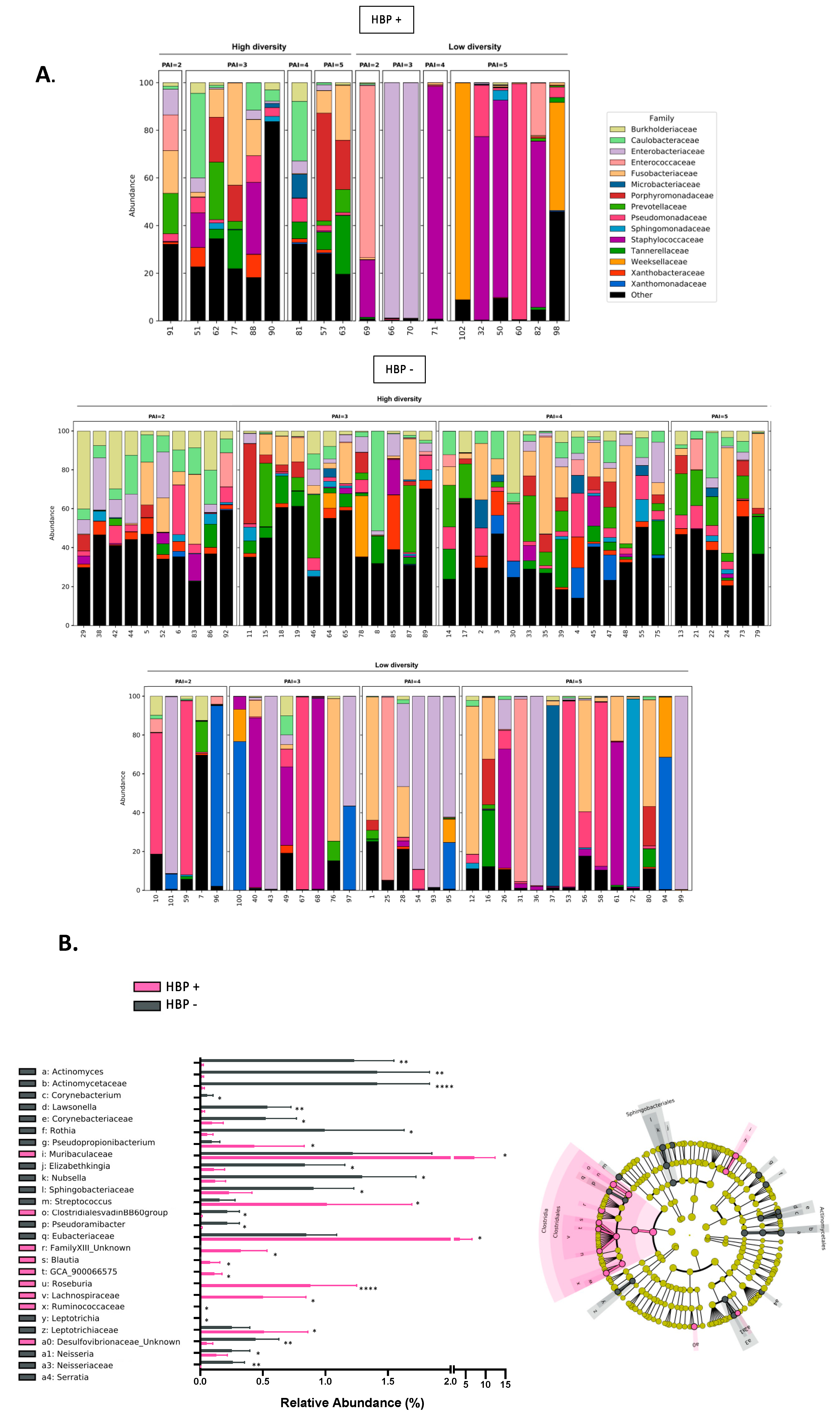 Ijms 24 01589 g004a Ijms 24 01589 g004a