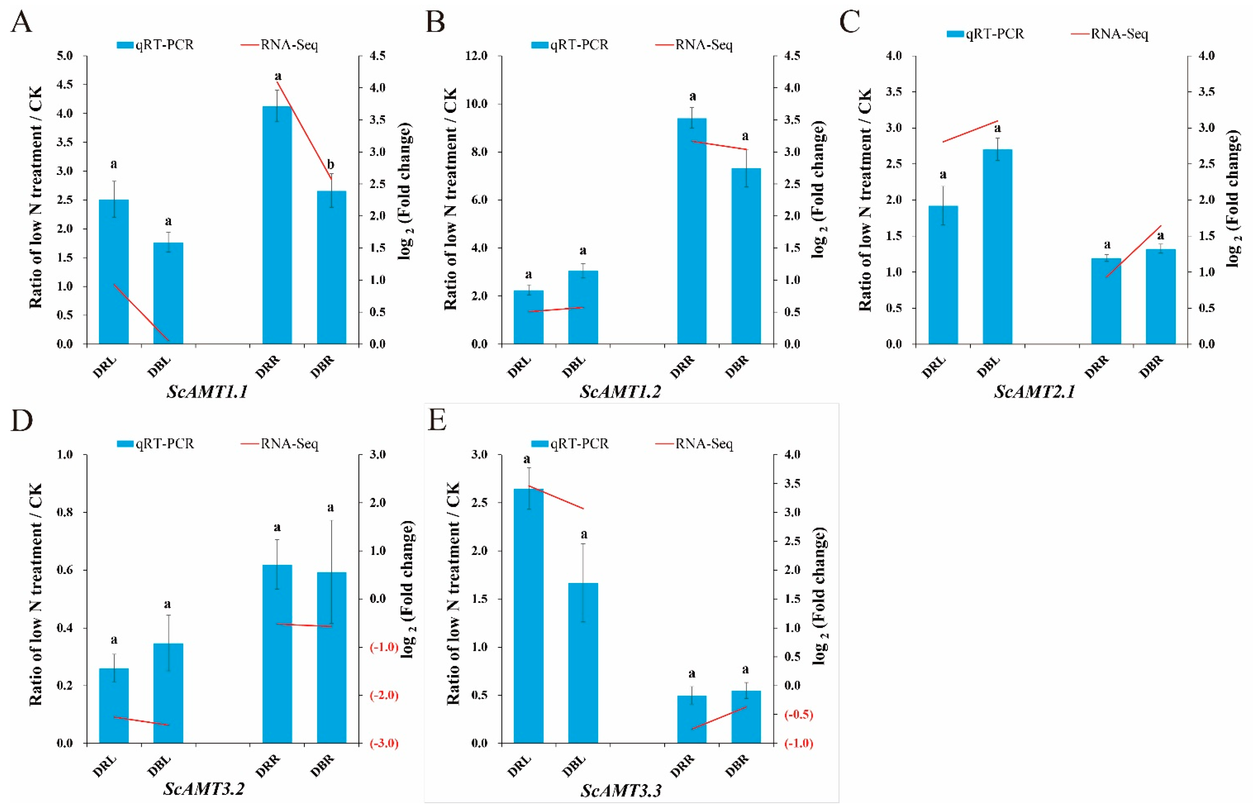 Ijms 24 01595 g001 Ijms 24 01595 g001