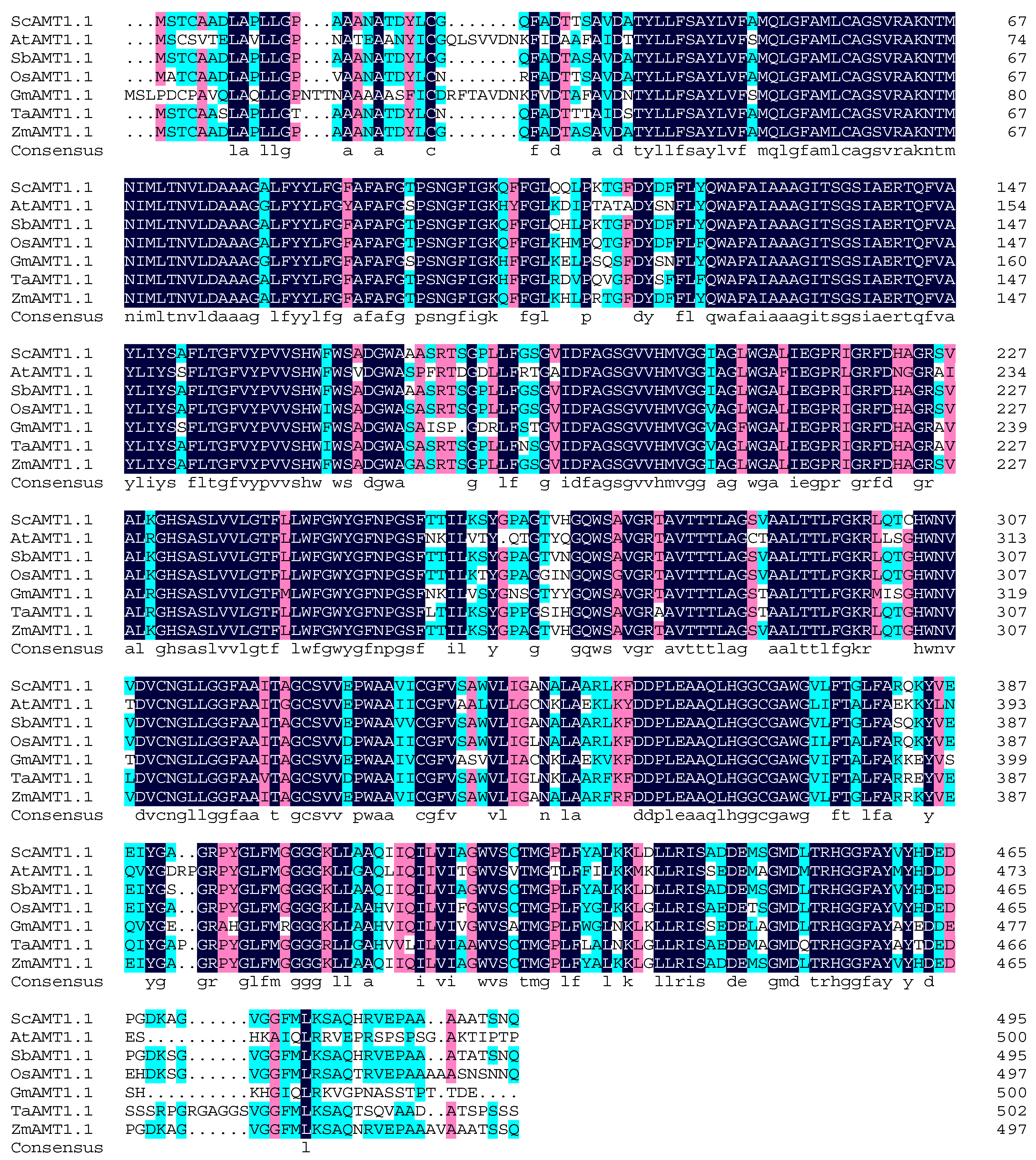 Ijms 24 01595 g004 Ijms 24 01595 g004
