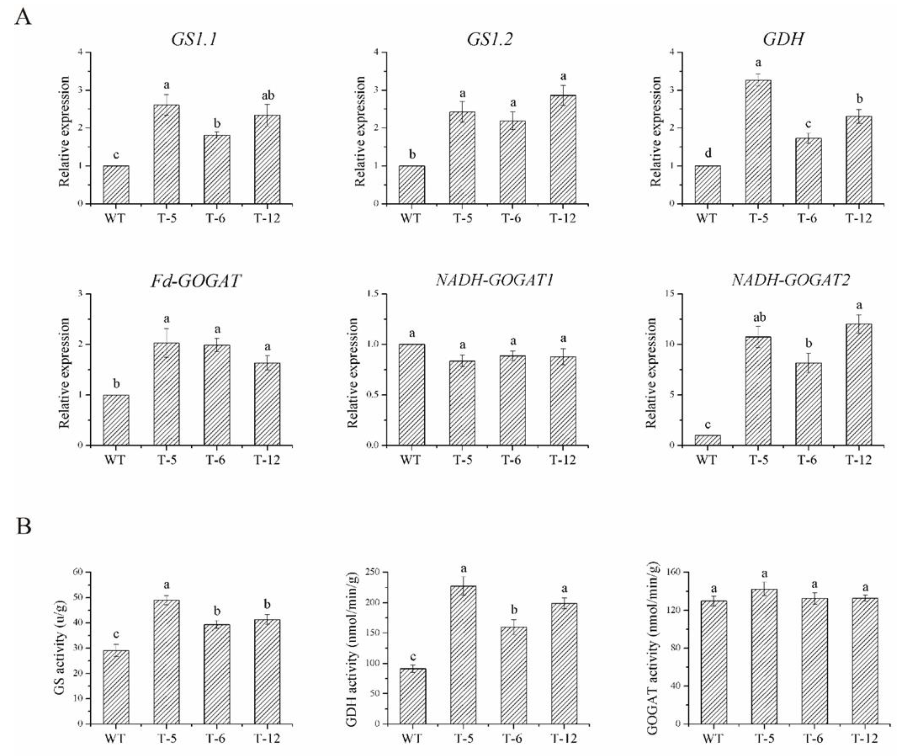 Ijms 24 01595 g007 Ijms 24 01595 g007