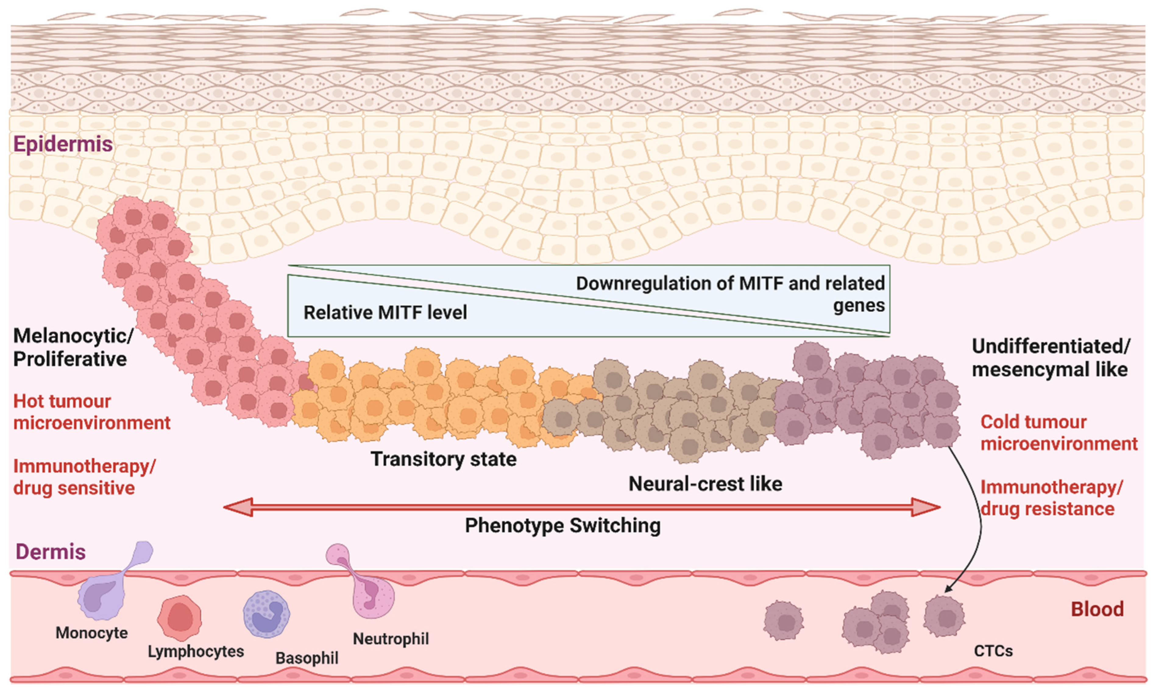 Ijms 24 01601 g001 Ijms 24 01601 g001