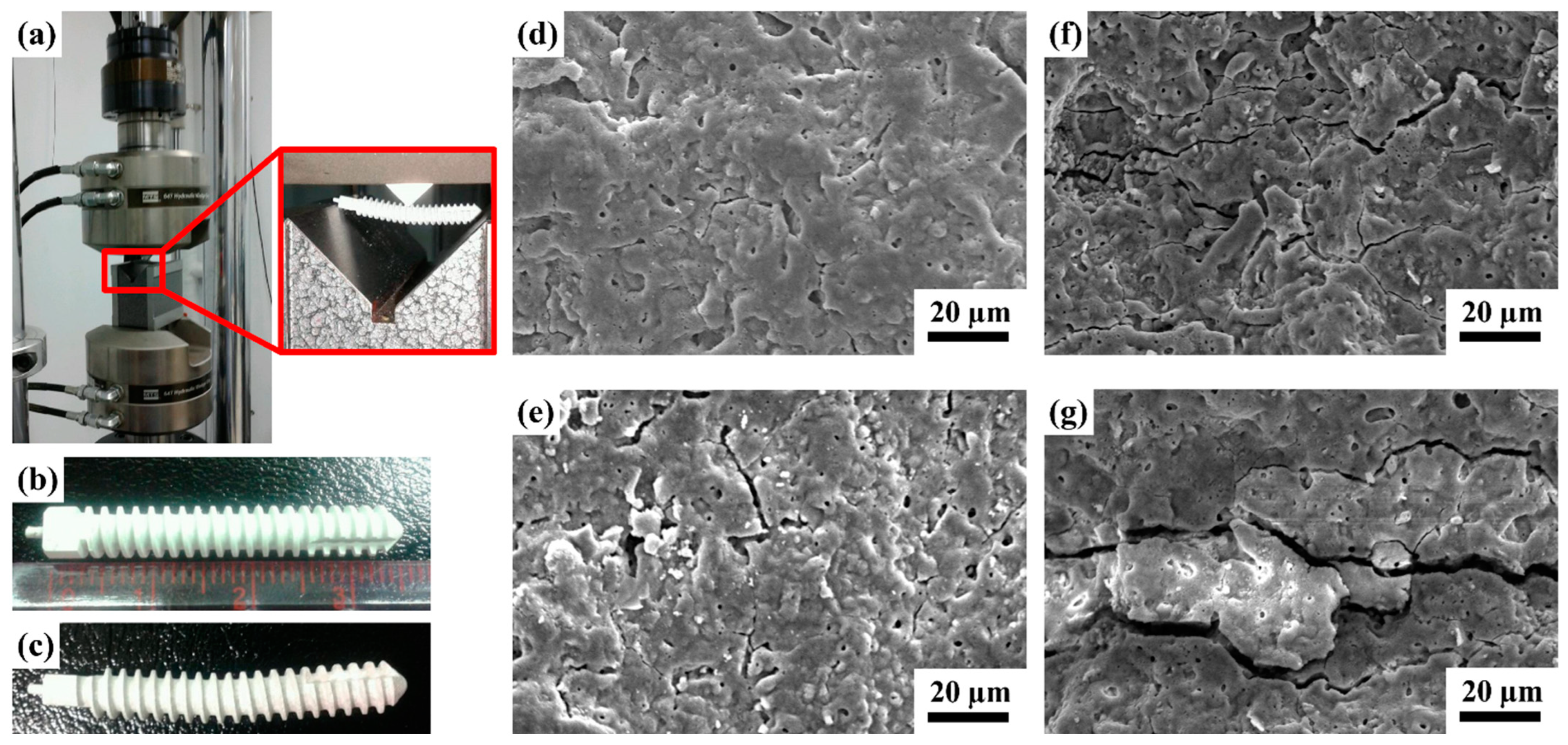 Ijms 24 01602 g008 Ijms 24 01602 g008