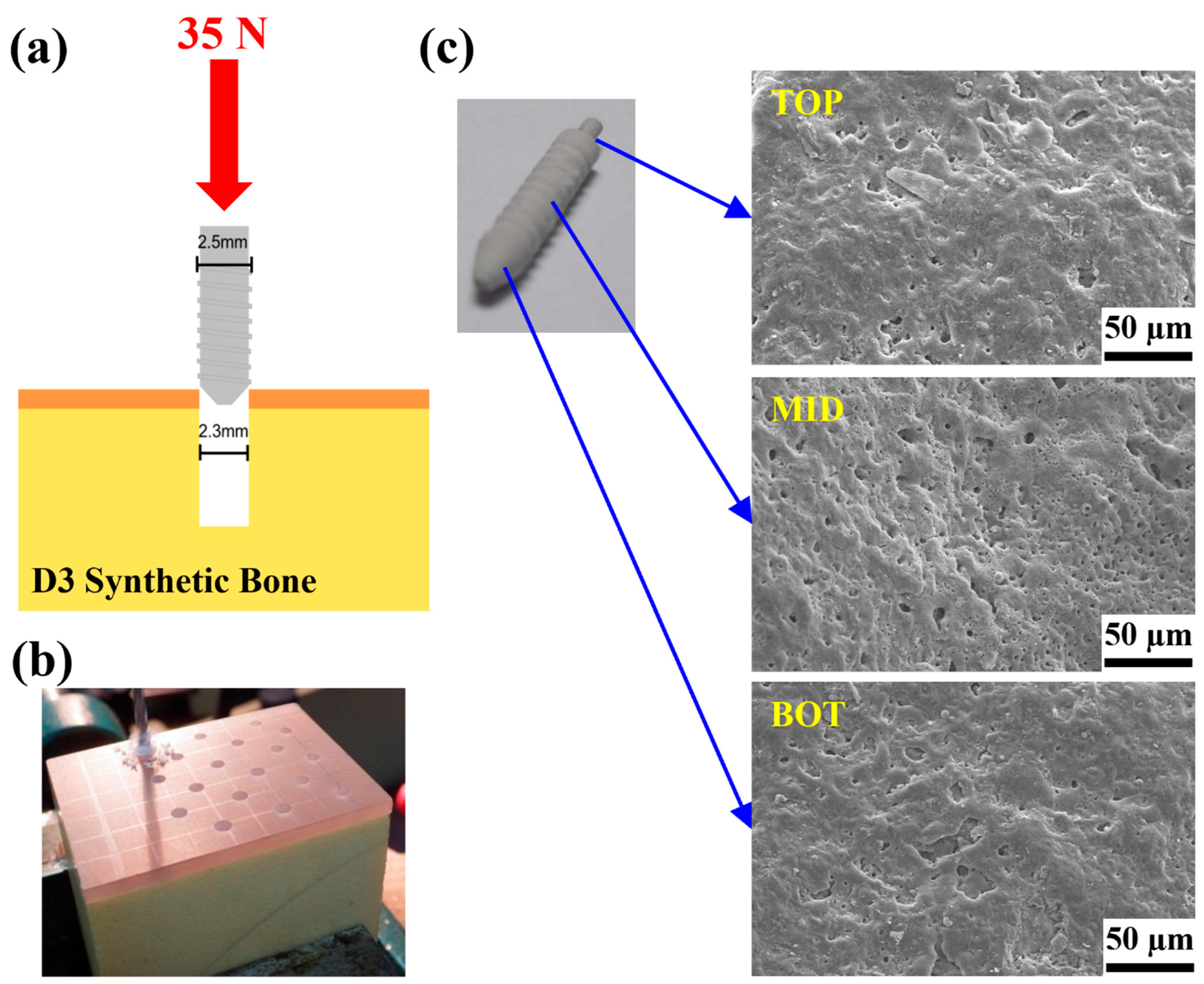 Ijms 24 01602 g009 Ijms 24 01602 g009
