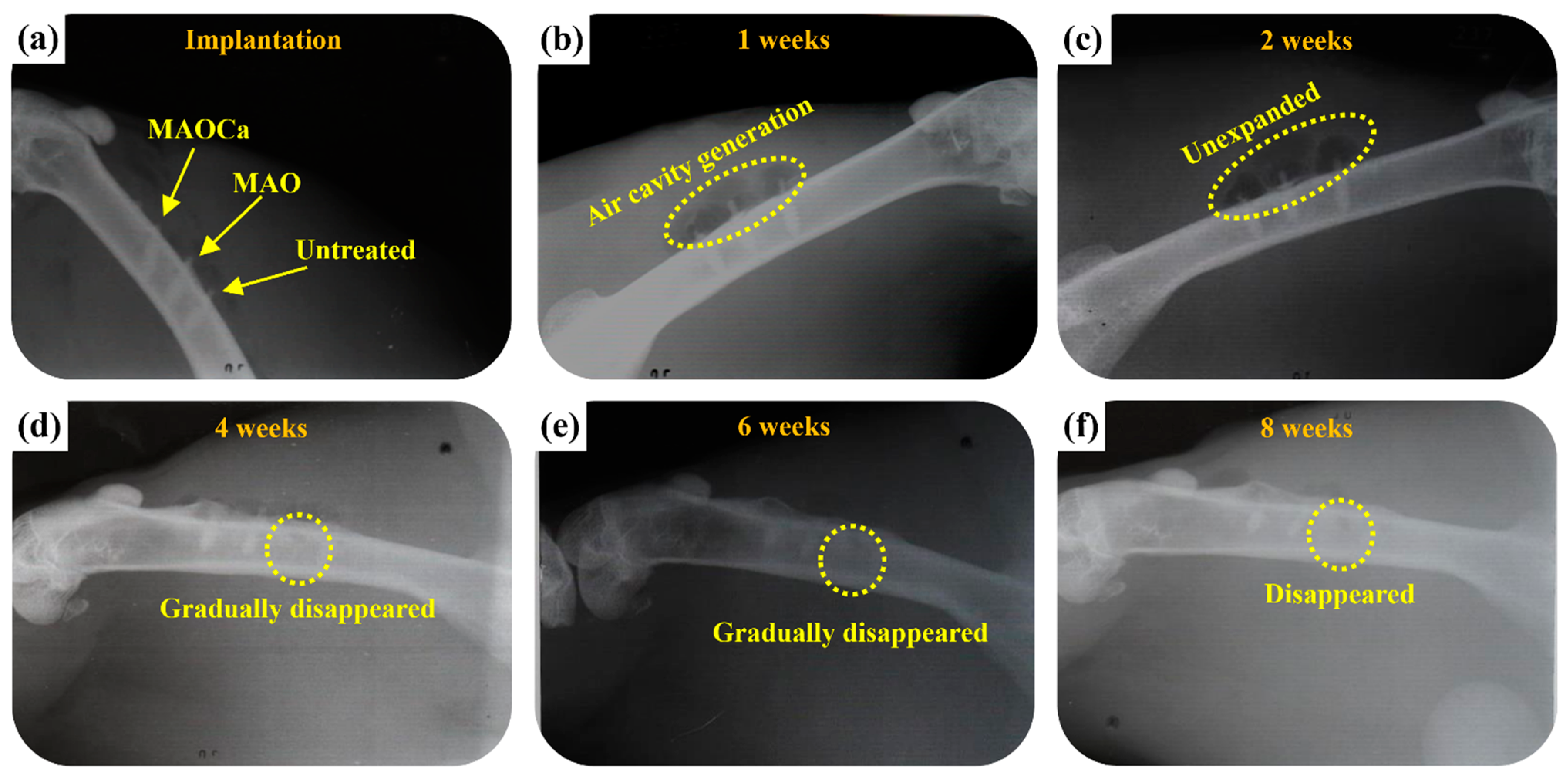 Ijms 24 01602 g013 Ijms 24 01602 g013