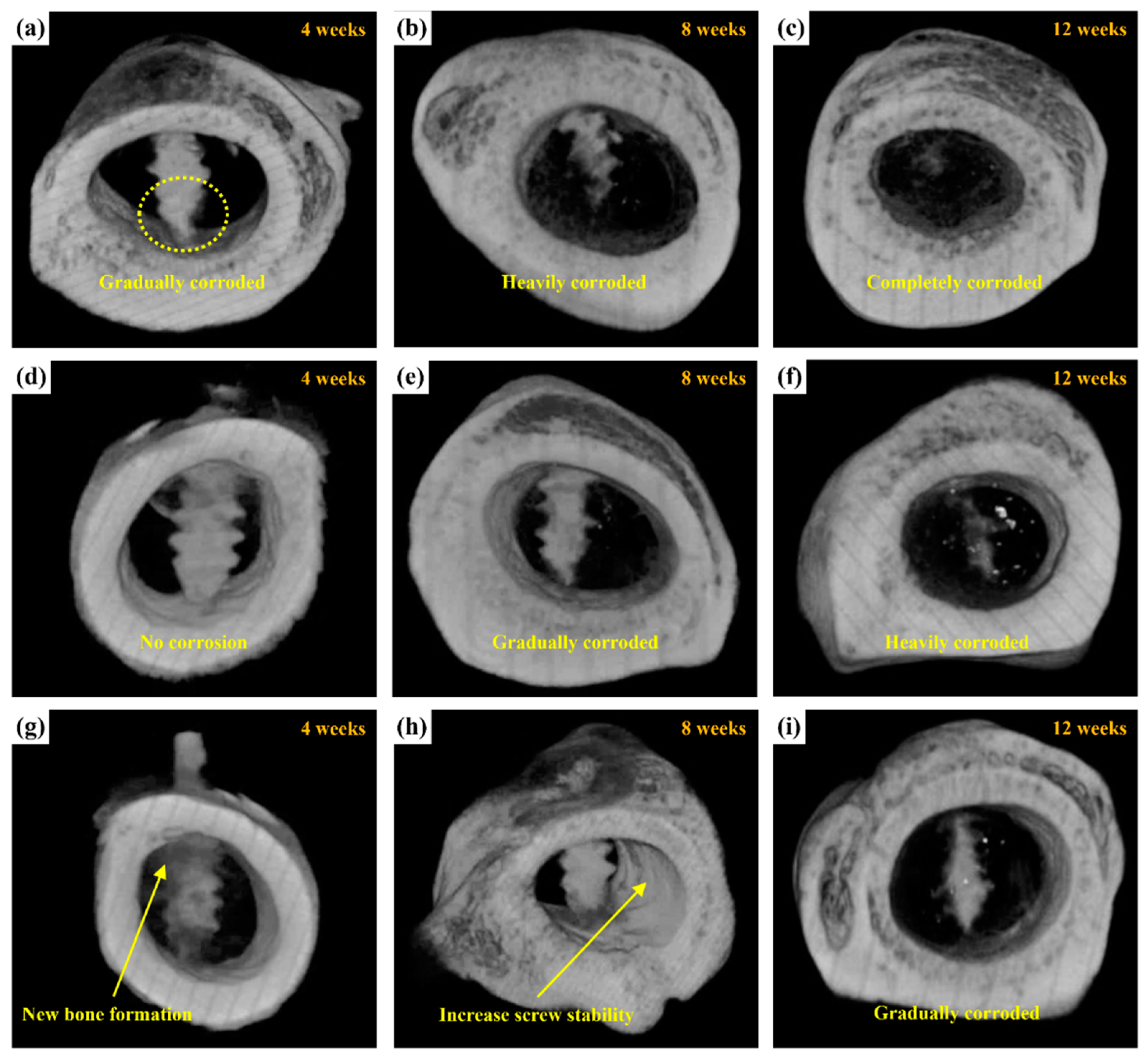 Ijms 24 01602 g014 Ijms 24 01602 g014