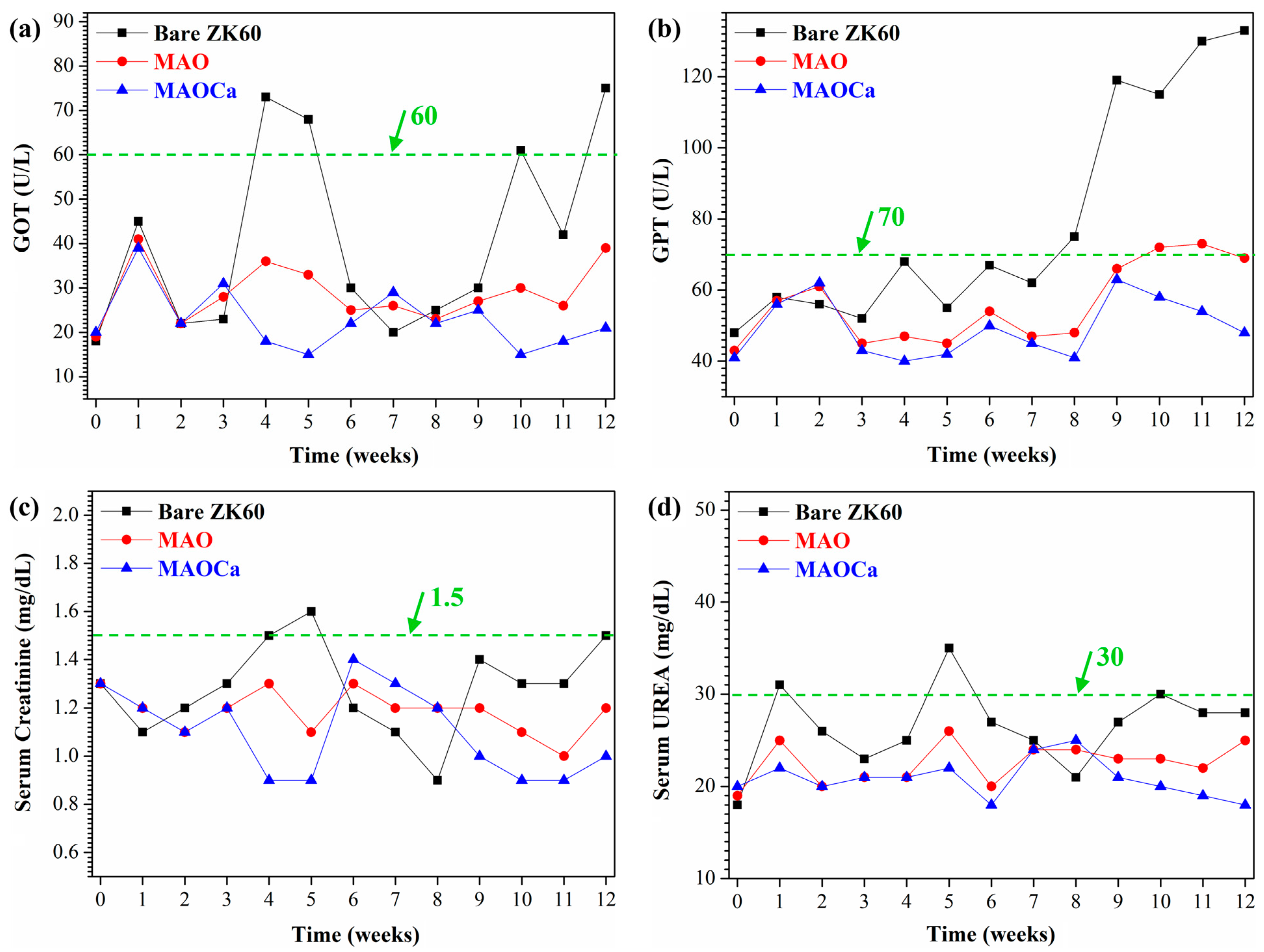 Ijms 24 01602 g015 Ijms 24 01602 g015