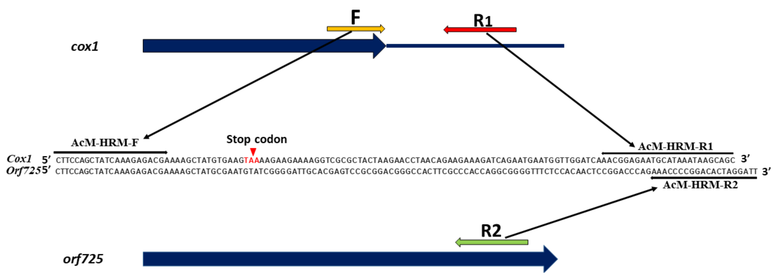 IJMS Free FullText TwoStep Identification of N, S, R and T