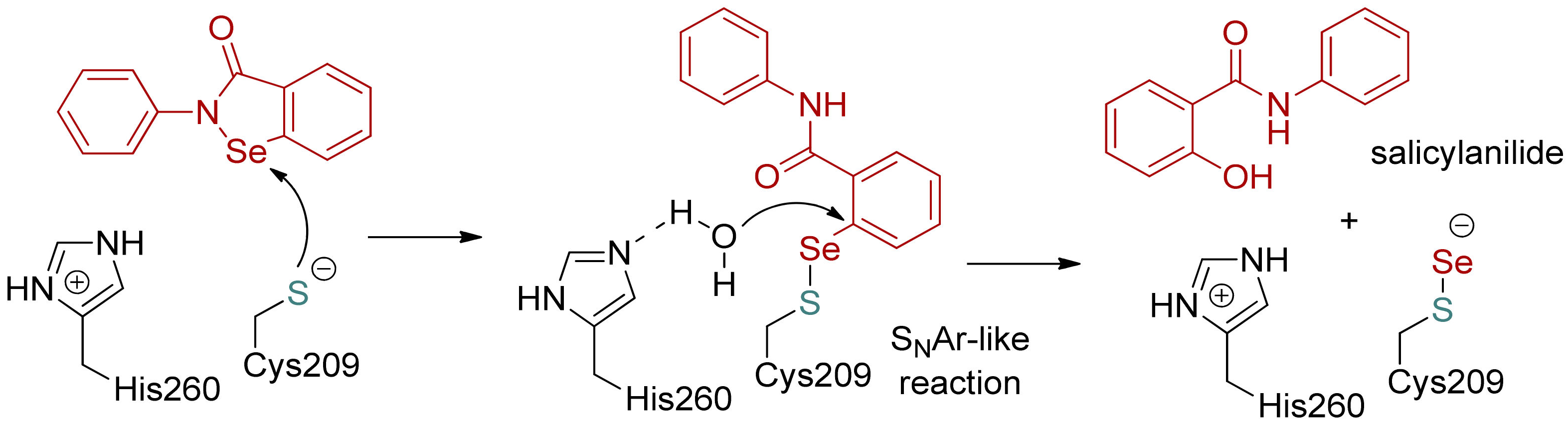 Ijms 24 01610 sch002