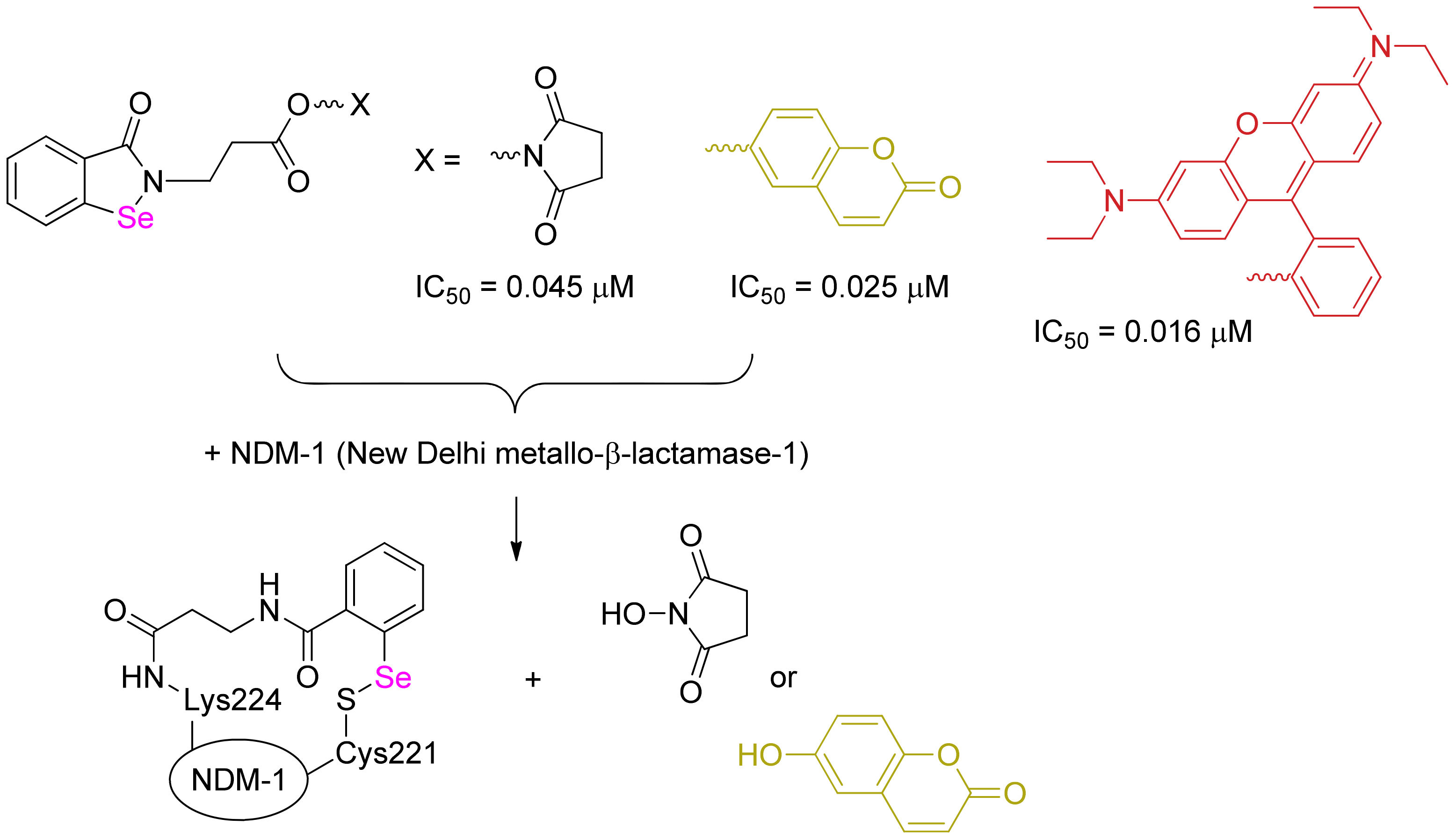 Ijms 24 01610 sch003