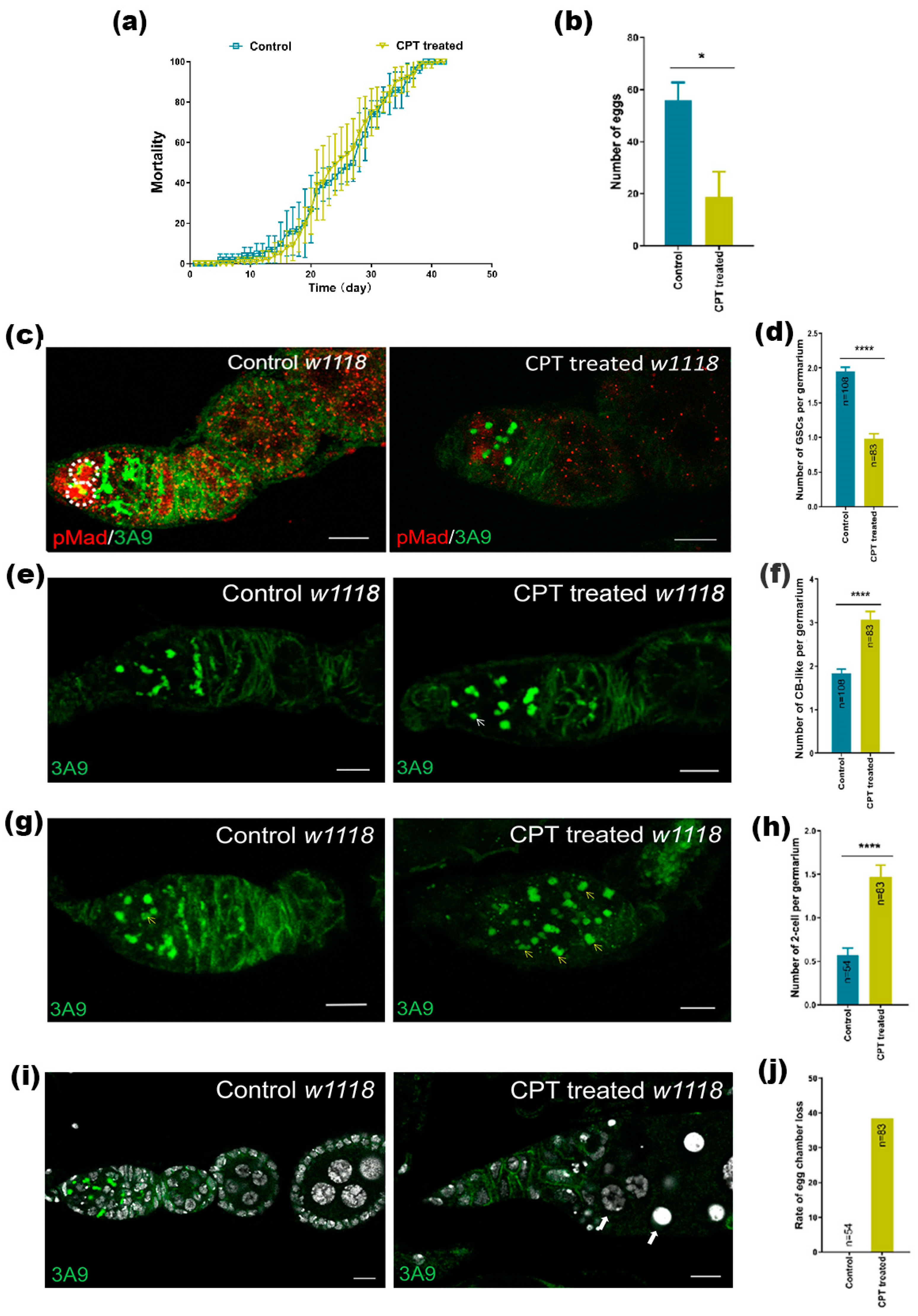 Ijms 24 01617 g001 Ijms 24 01617 g001