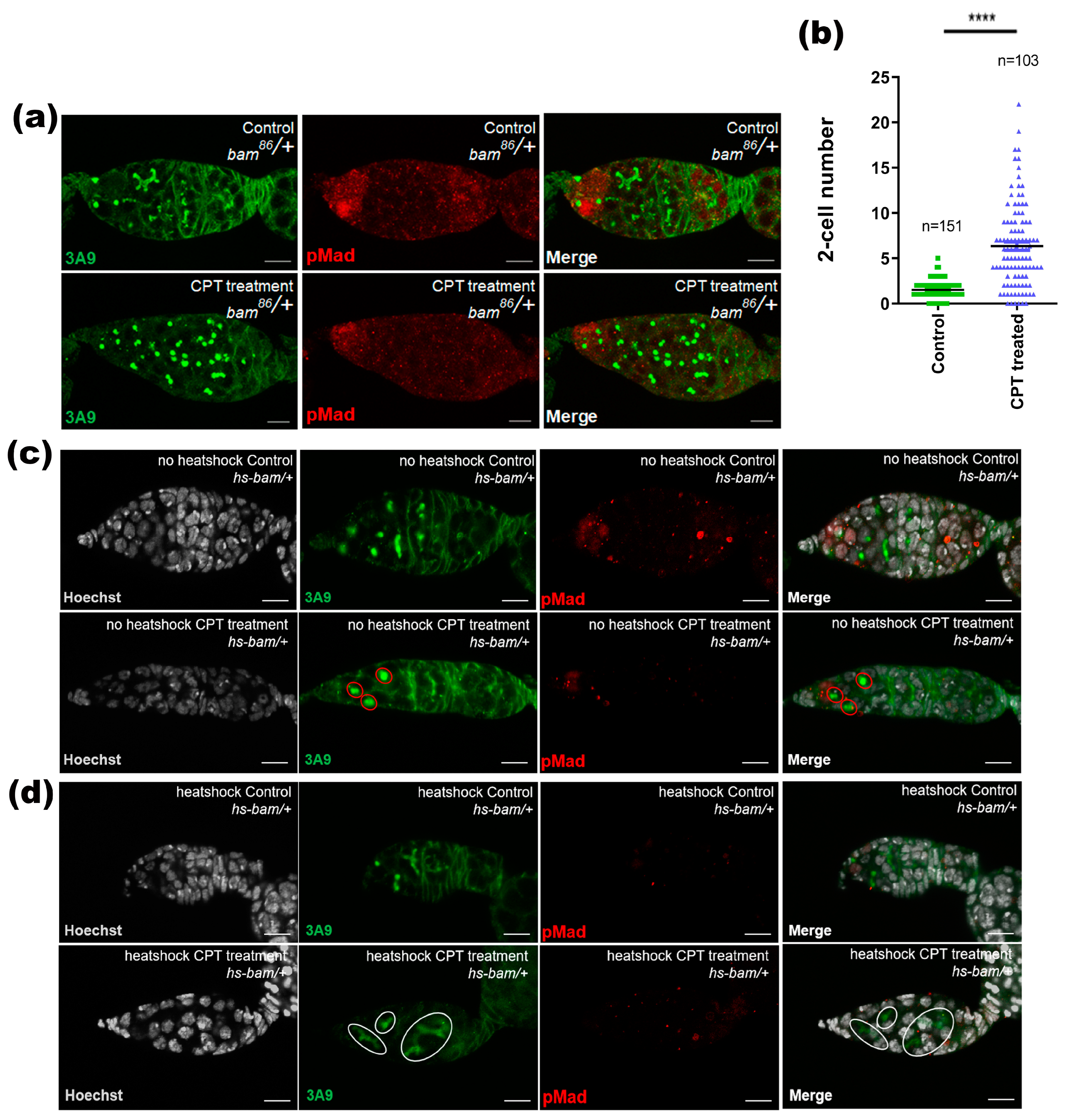Ijms 24 01617 g004 Ijms 24 01617 g004