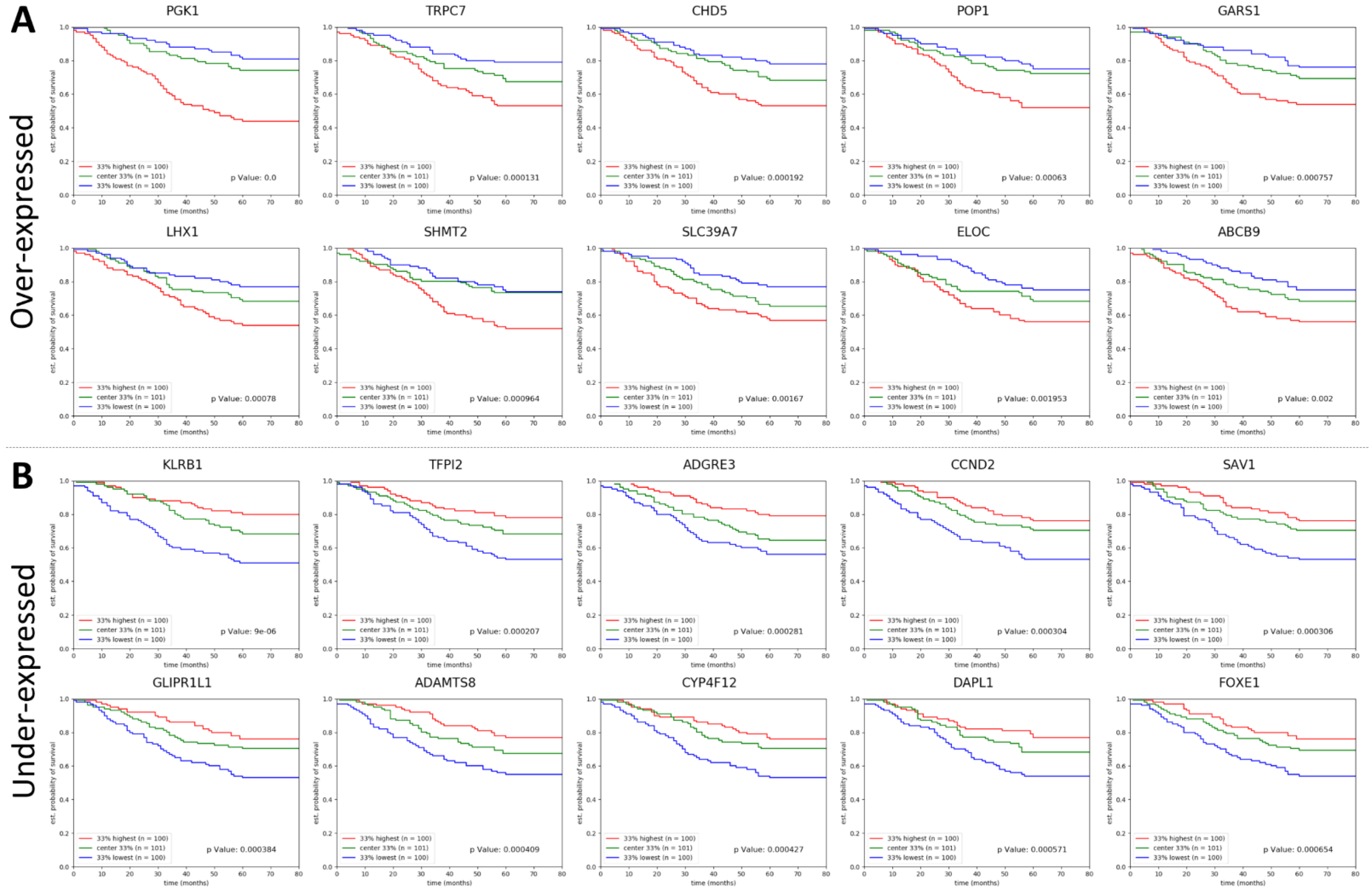 Ijms 24 01622 g005 Ijms 24 01622 g005