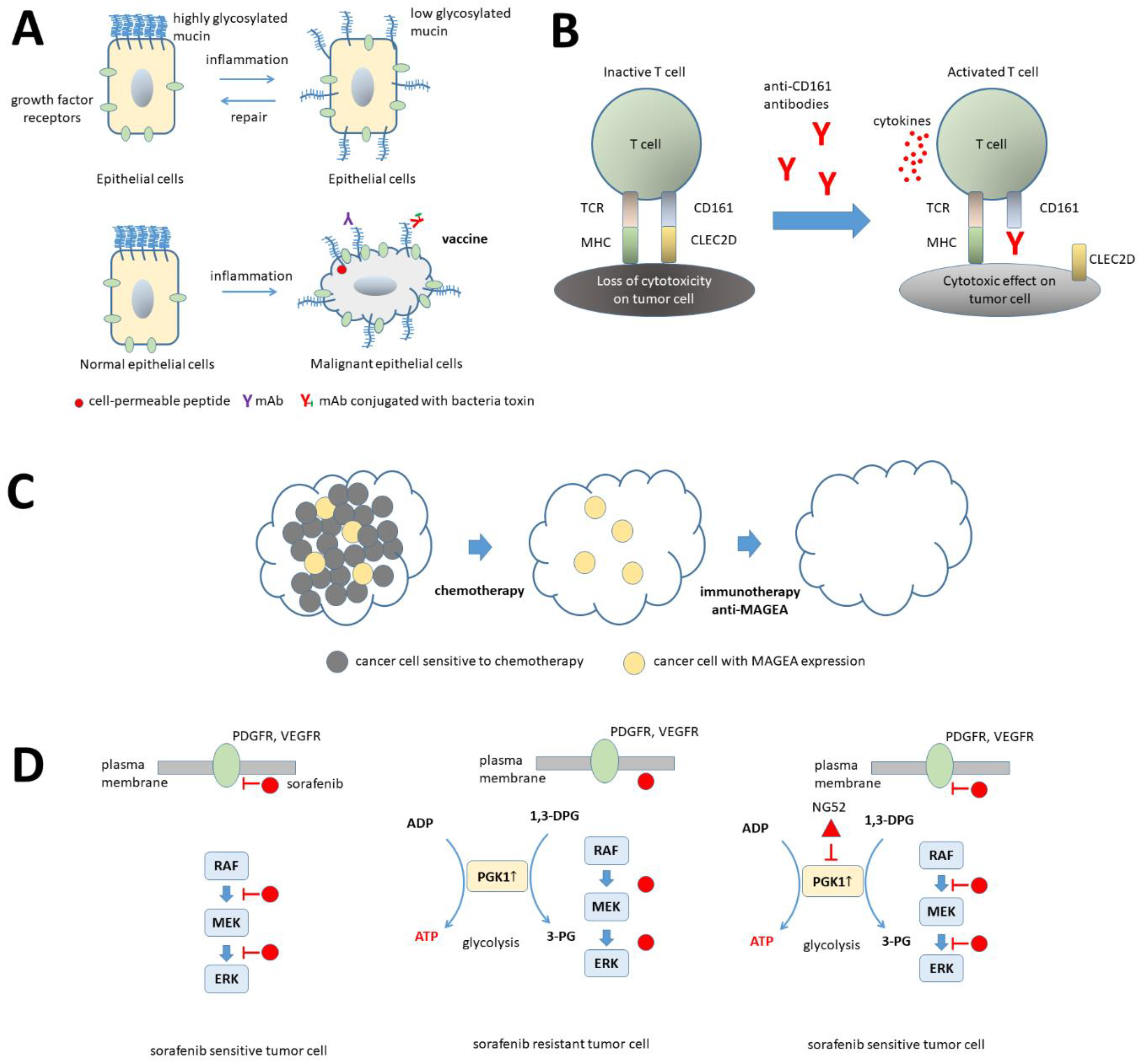 Ijms 24 01622 g009 Ijms 24 01622 g009