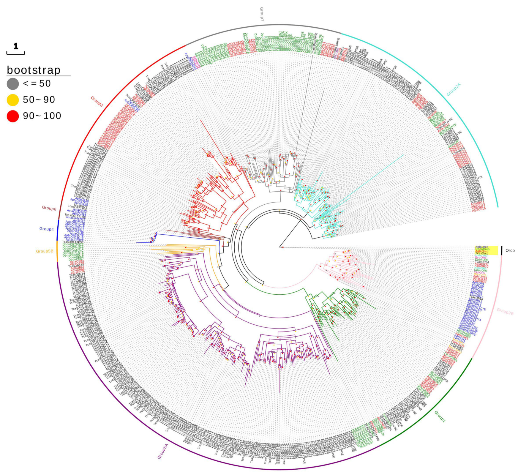 Ijms 24 01625 g001 Ijms 24 01625 g001