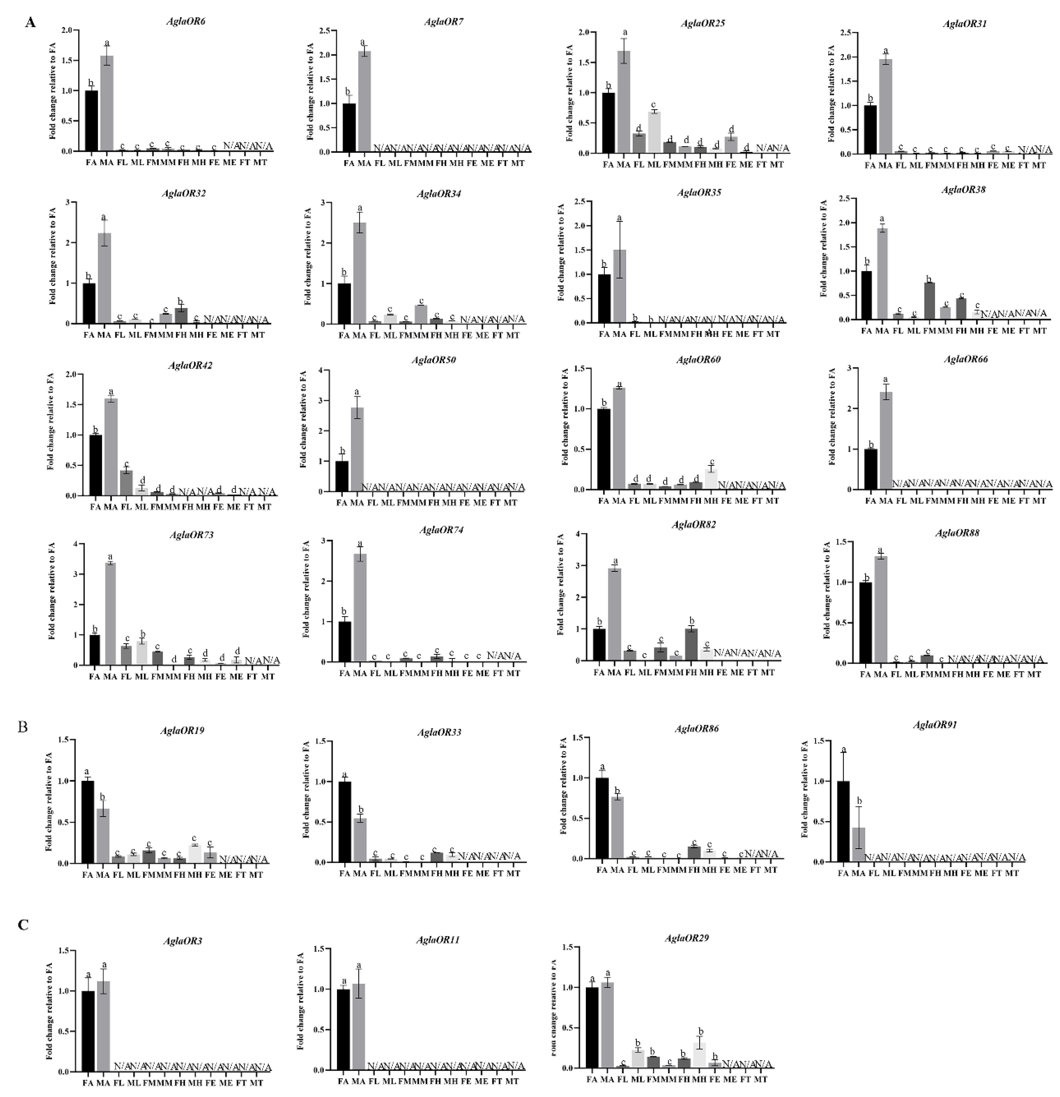 Ijms 24 01625 g004 Ijms 24 01625 g004