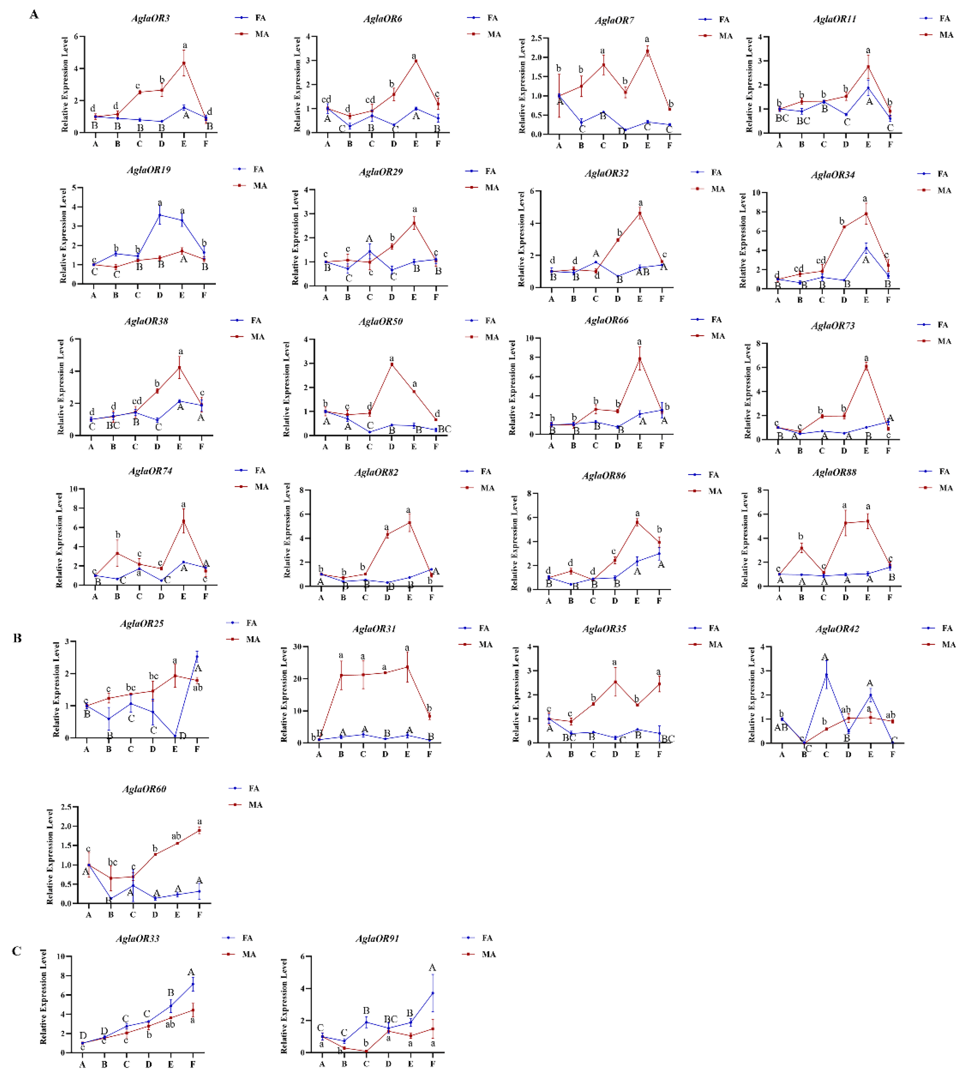 Ijms 24 01625 g005 Ijms 24 01625 g005