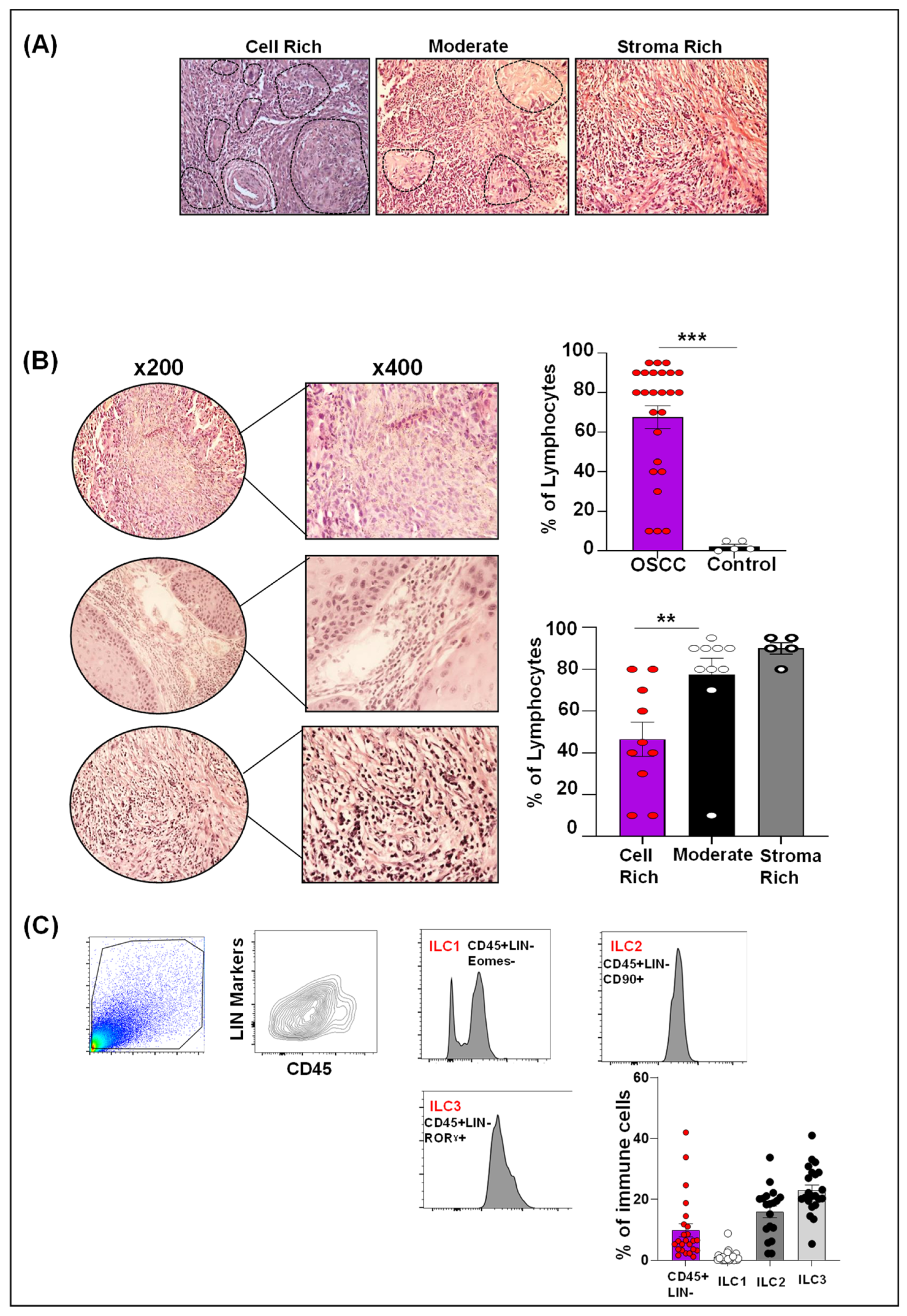 Ijms 24 01627 g002