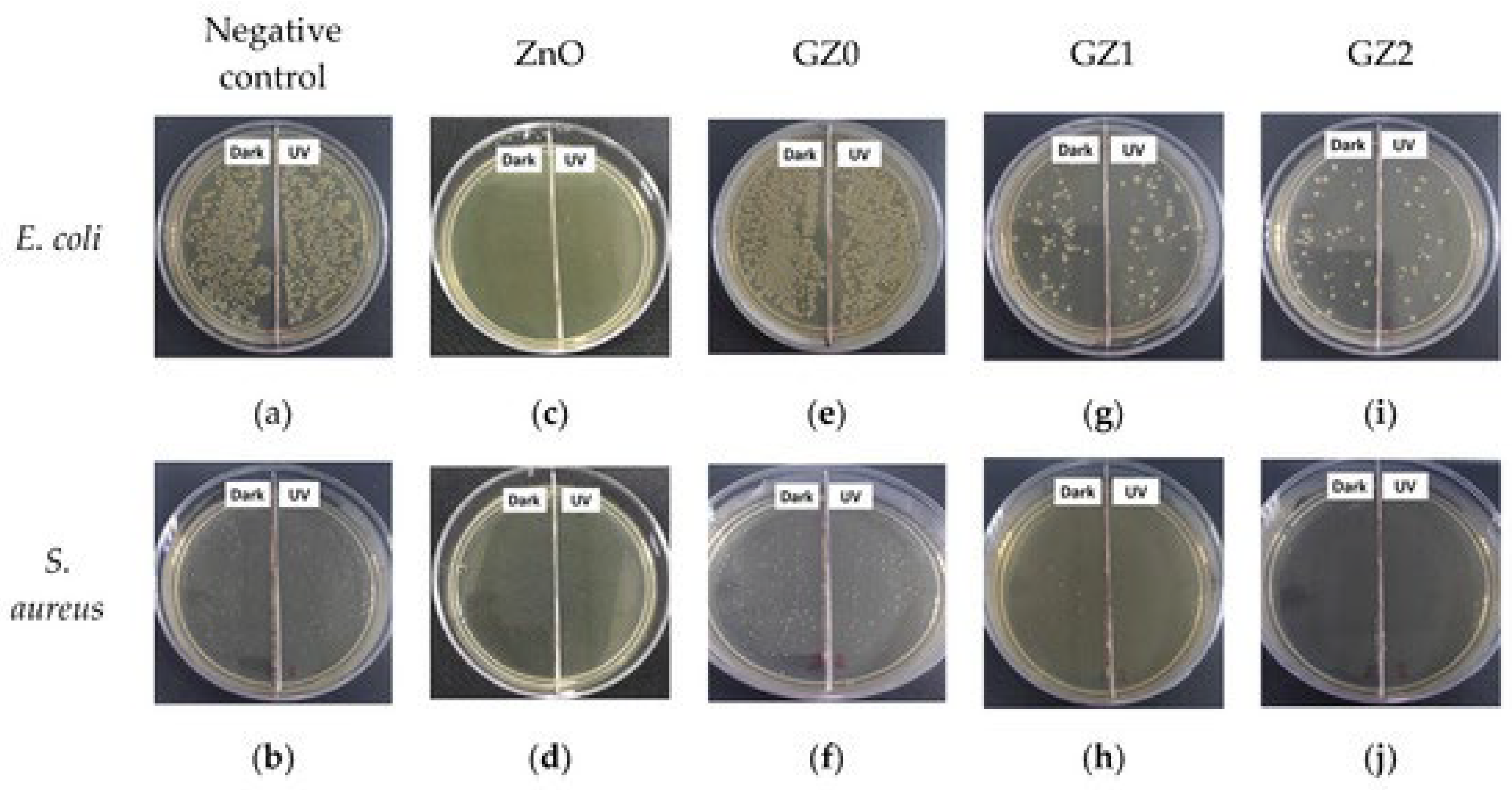 Ijms 24 01629 g008 Ijms 24 01629 g008