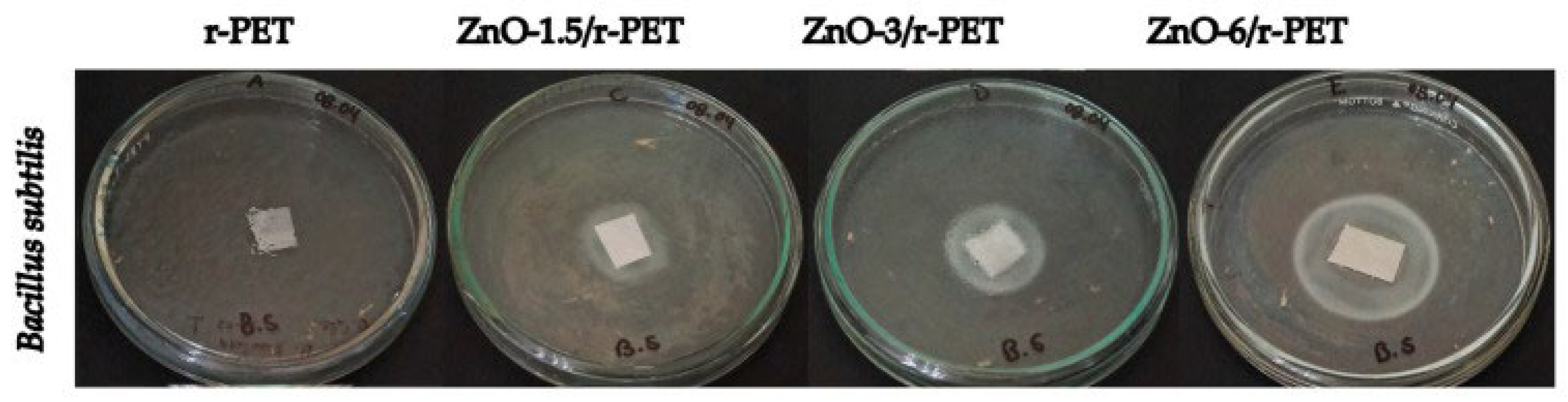 Ijms 24 01629 g010 Ijms 24 01629 g010