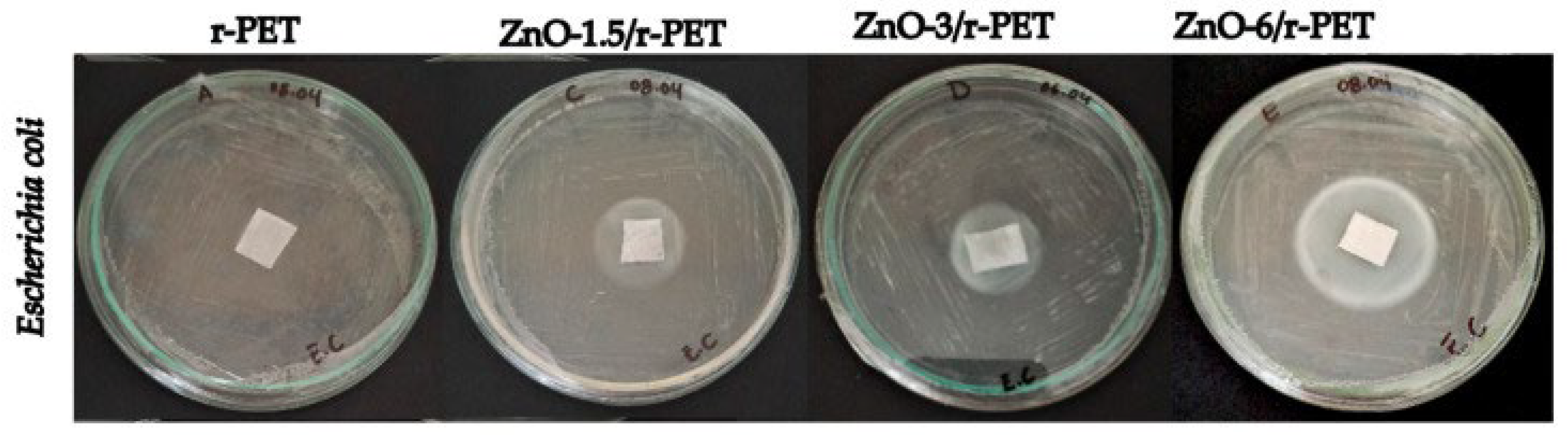 Ijms 24 01629 g011 Ijms 24 01629 g011