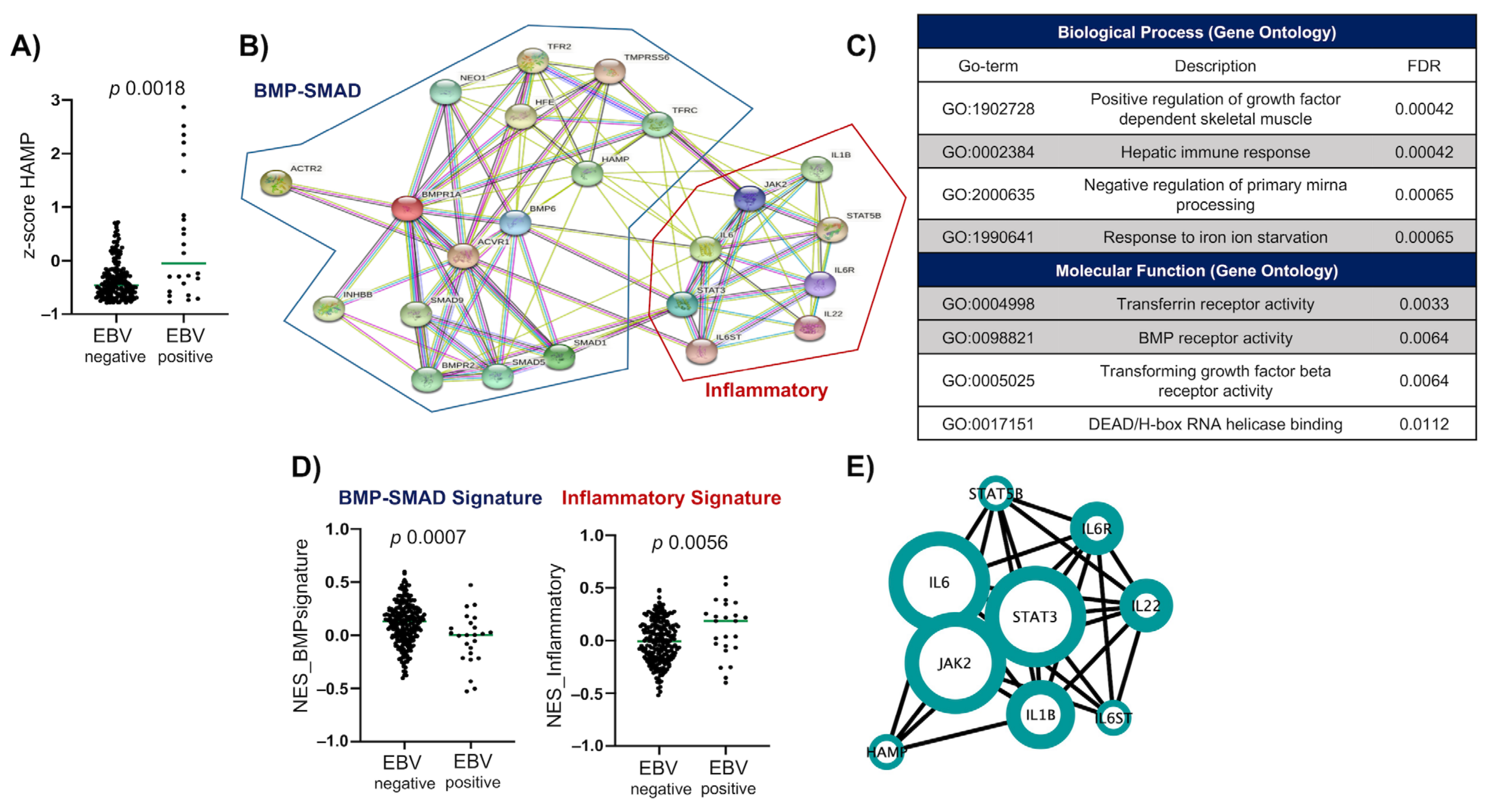 Ijms 24 01630 g003 Ijms 24 01630 g003