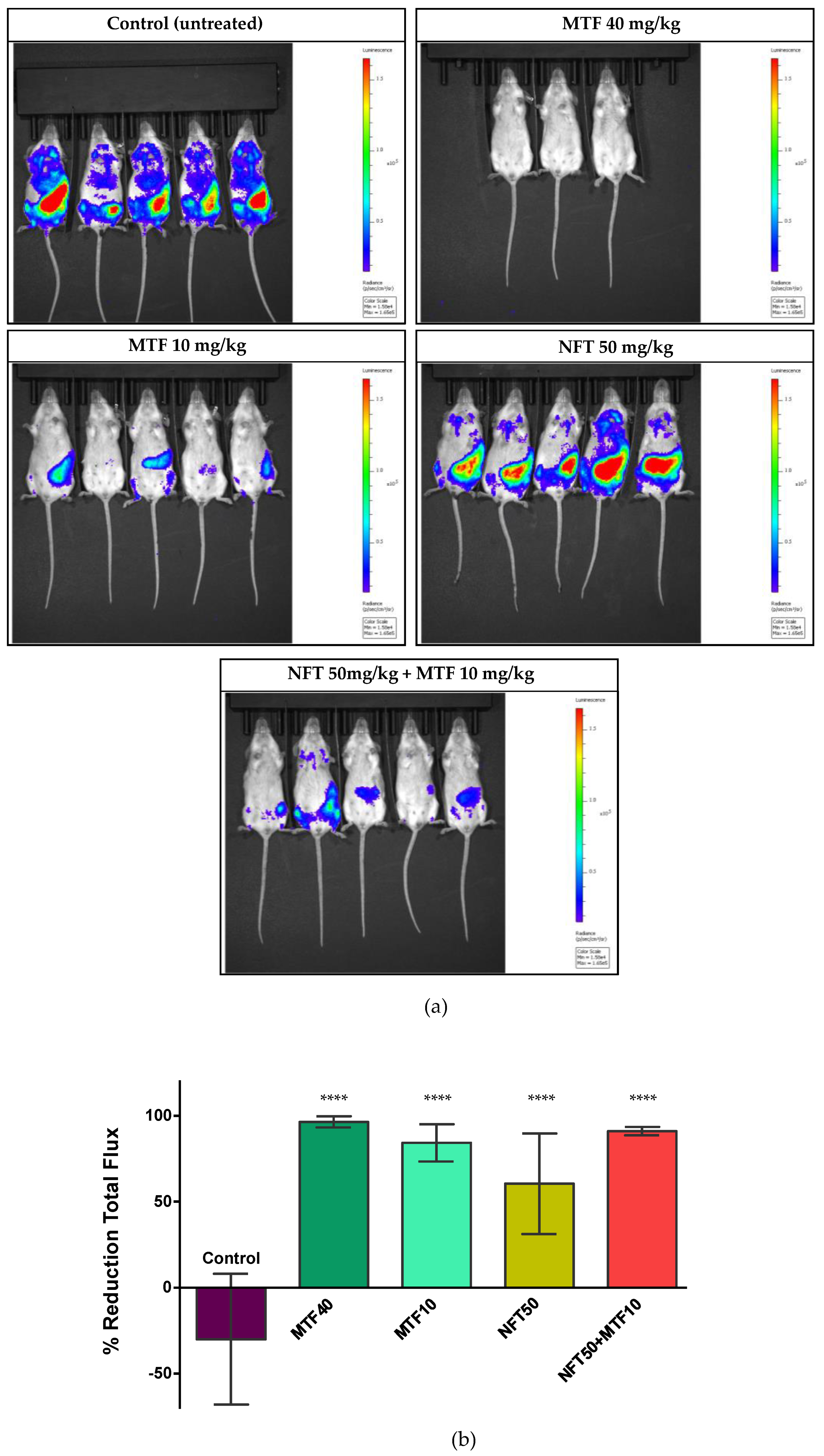 Ijms 24 01635 g005 Ijms 24 01635 g005