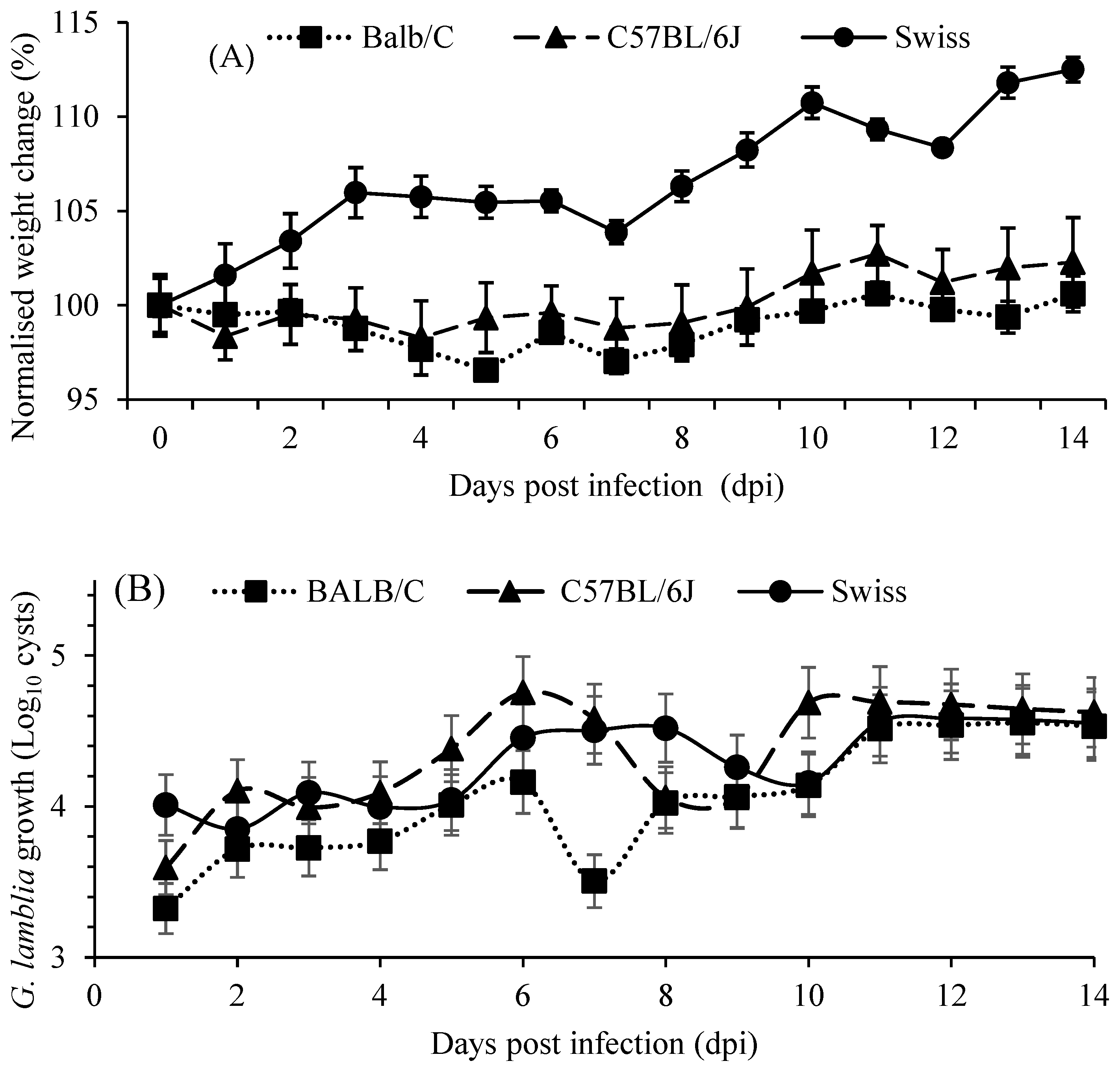 Ijms 24 01636 g001 Ijms 24 01636 g001
