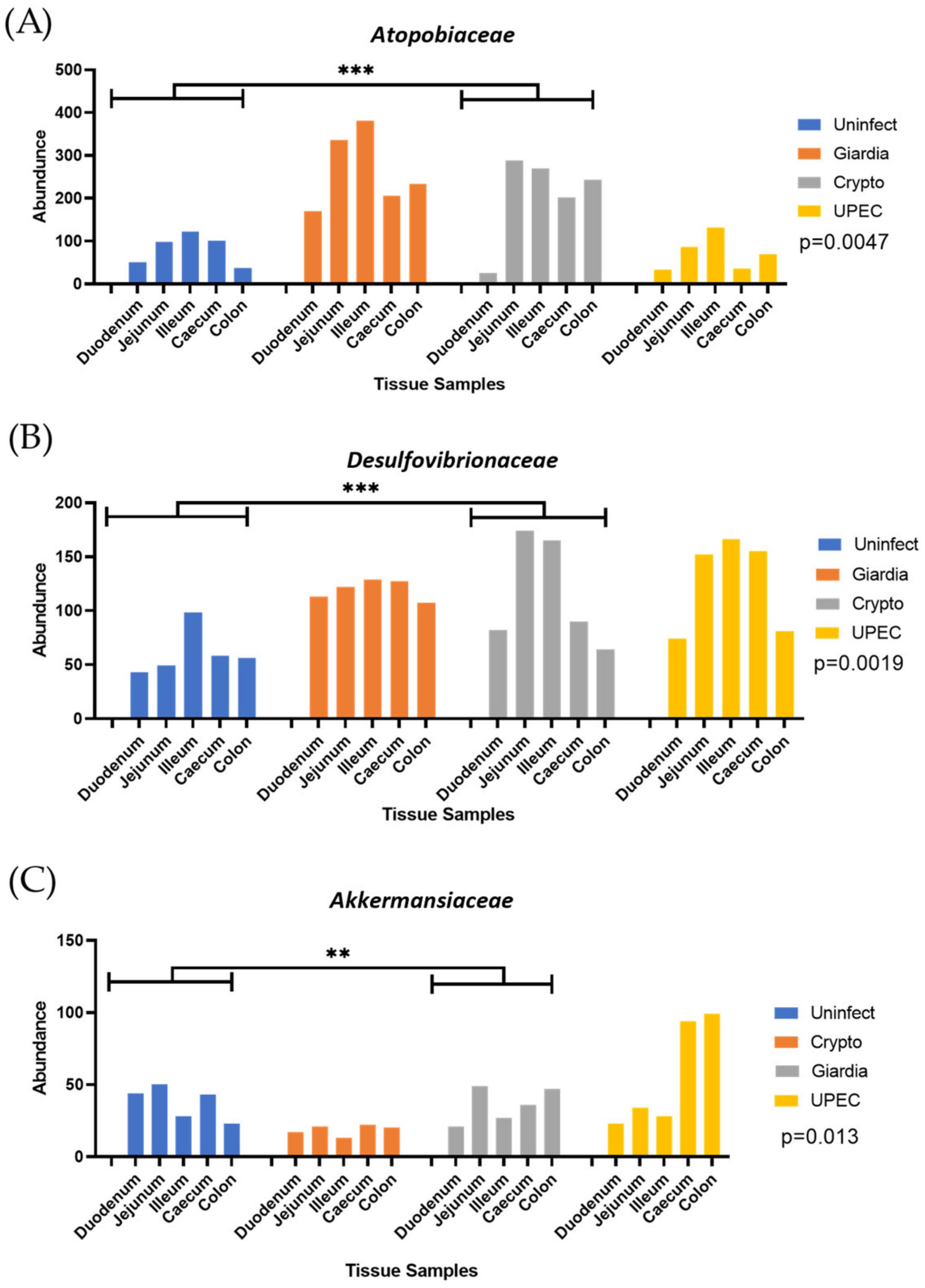 Ijms 24 01636 g002 Ijms 24 01636 g002
