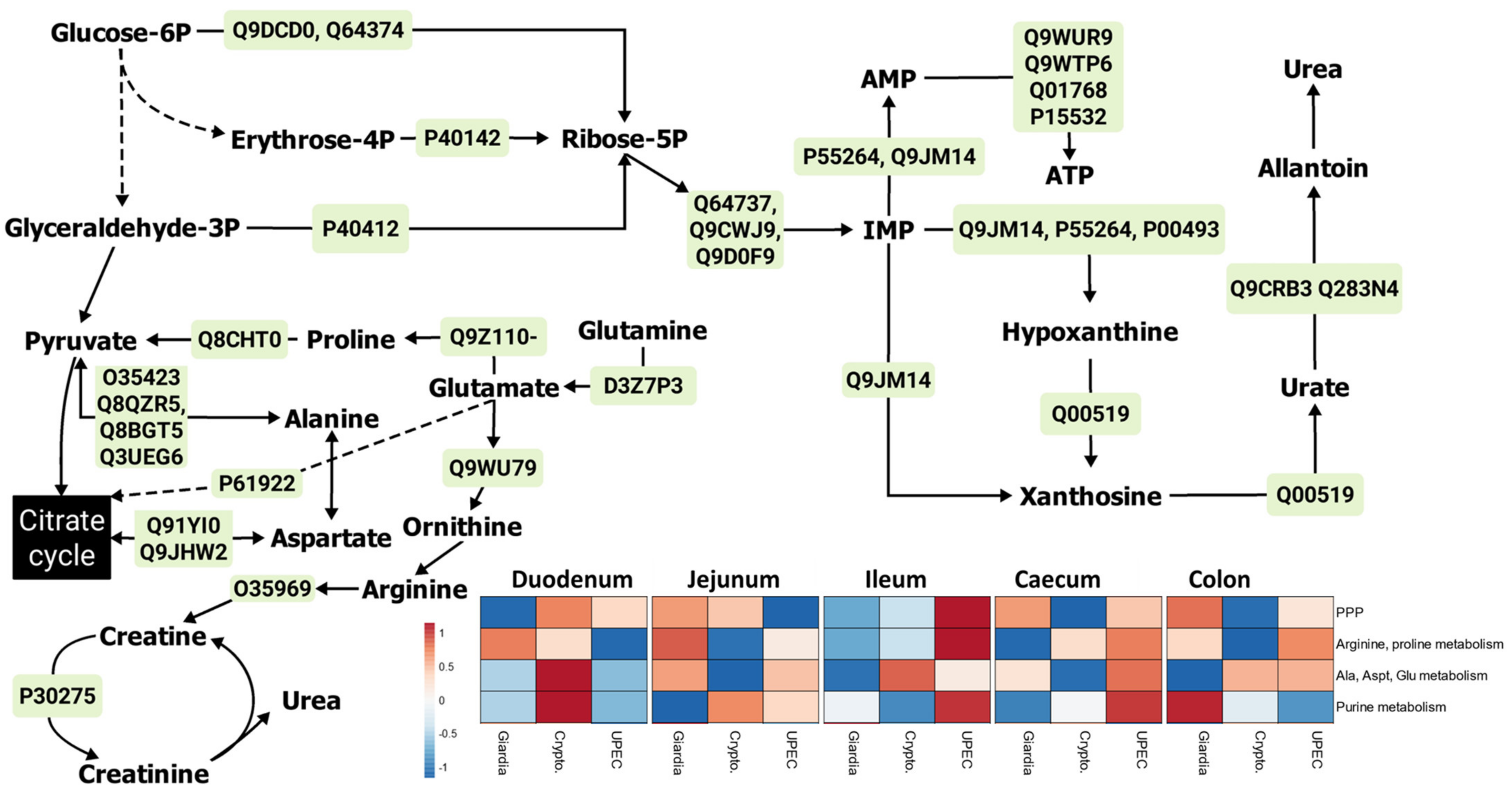 Ijms 24 01636 g004 Ijms 24 01636 g004