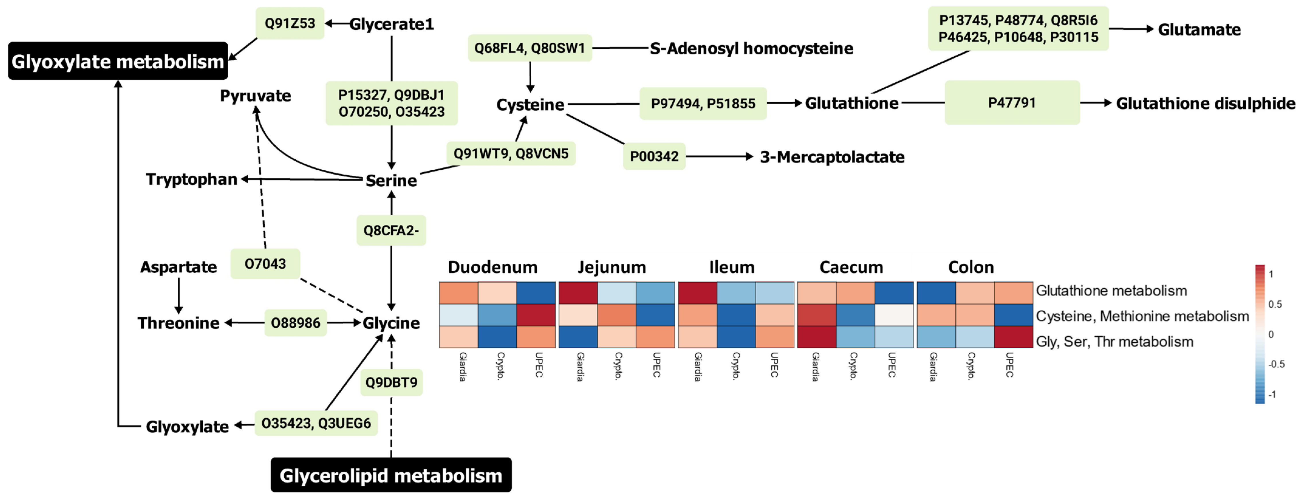 Ijms 24 01636 g005 Ijms 24 01636 g005