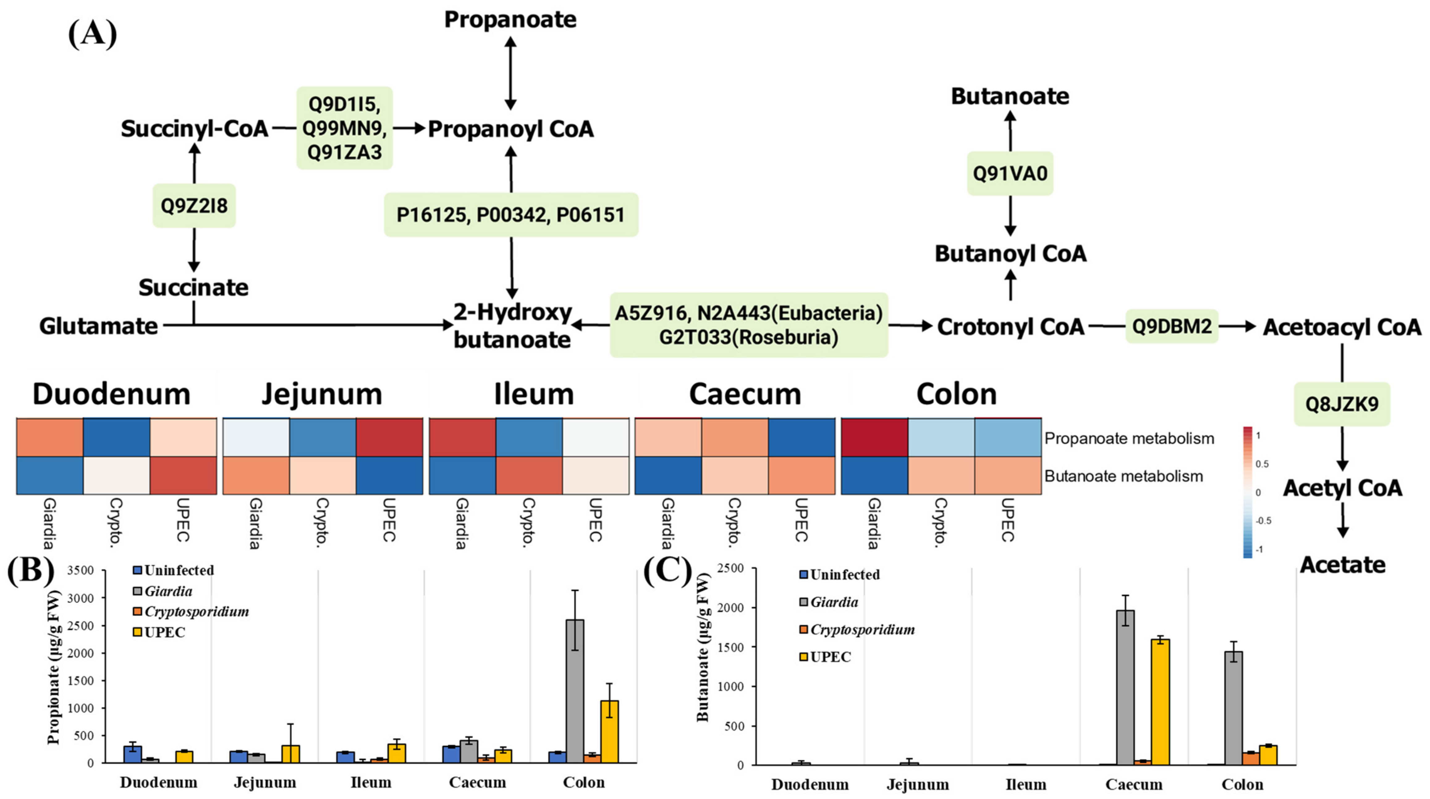 Ijms 24 01636 g006 Ijms 24 01636 g006
