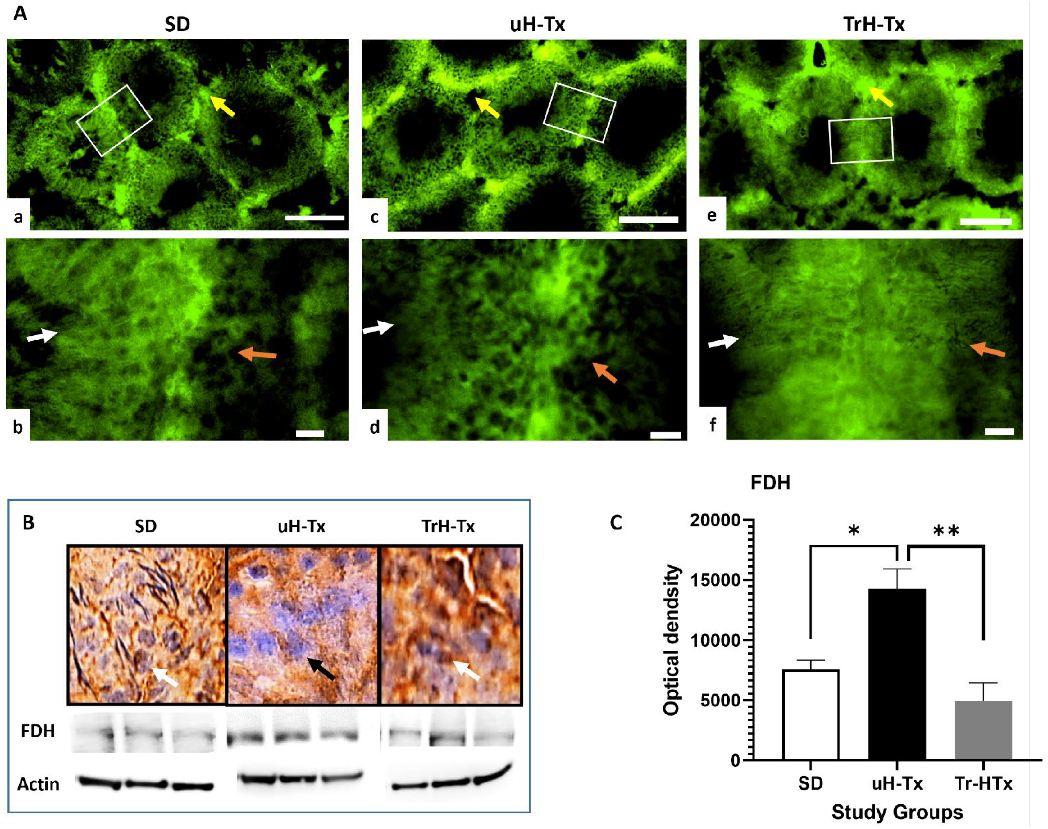 Ijms 24 01638 g002 Ijms 24 01638 g002