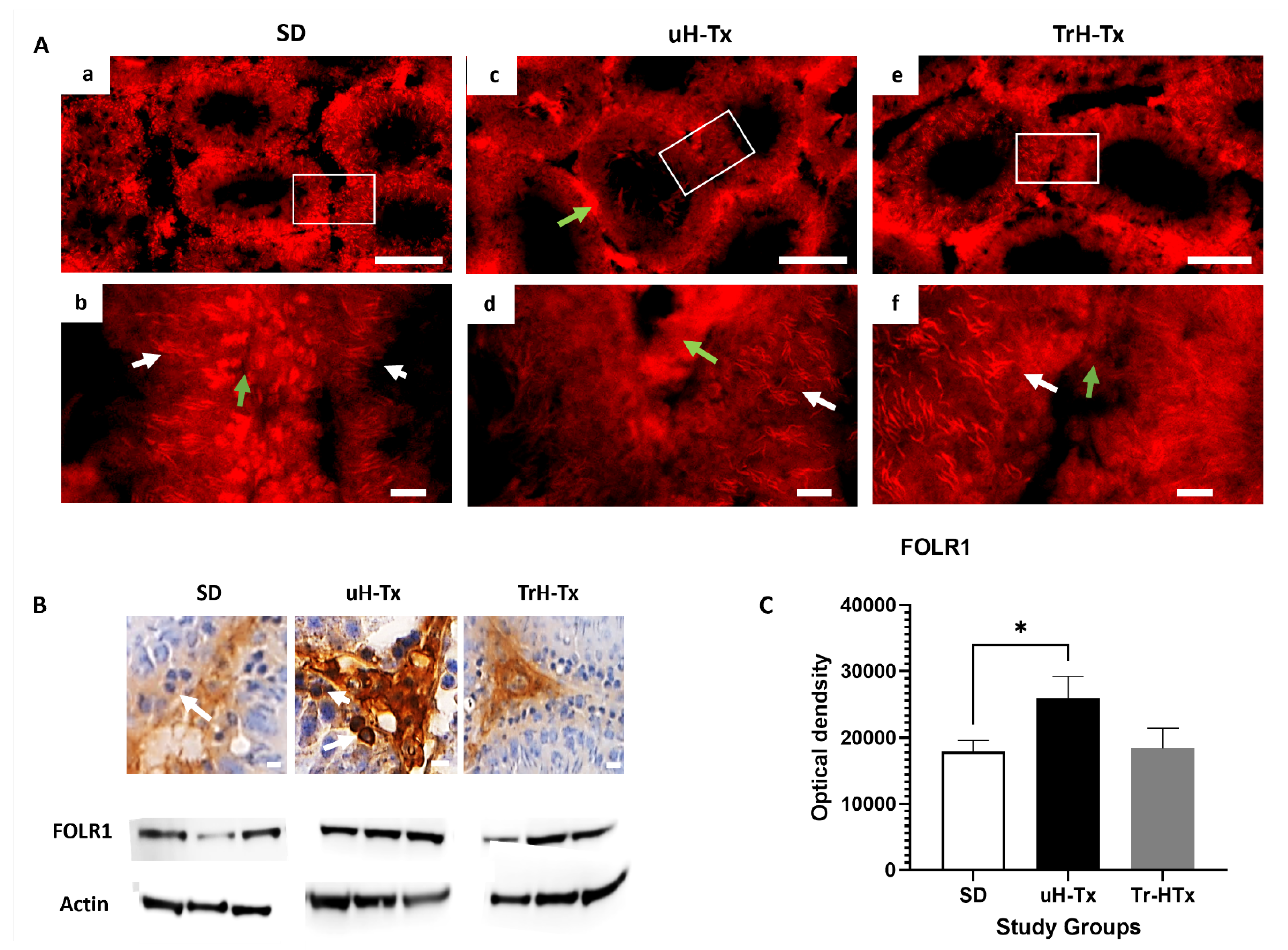 Ijms 24 01638 g003 Ijms 24 01638 g003
