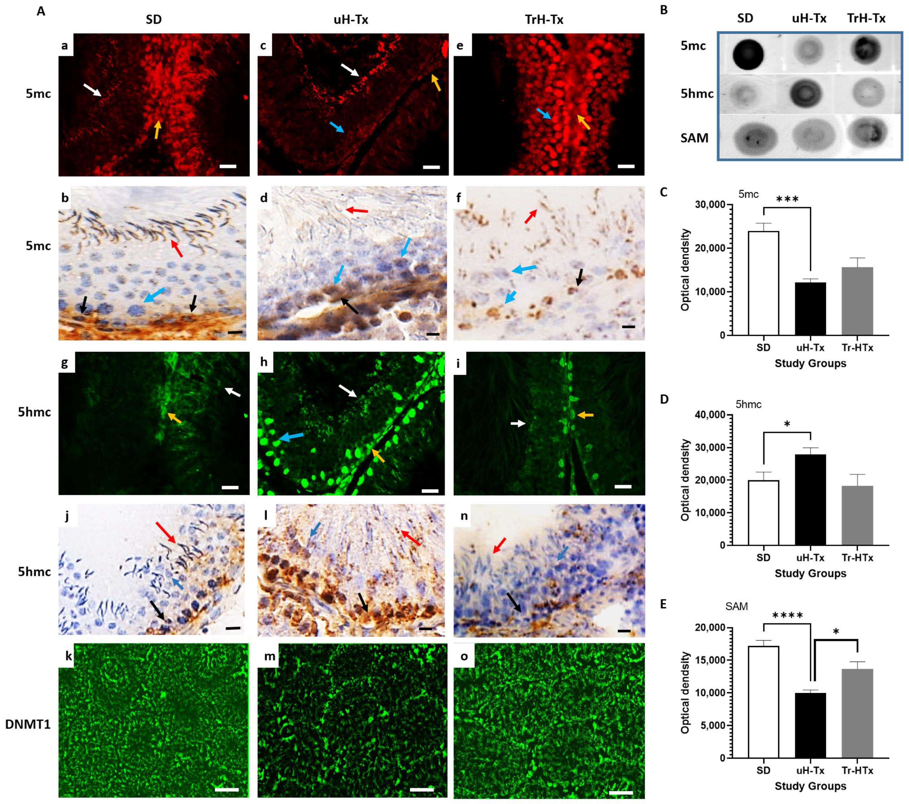 Ijms 24 01638 g005 Ijms 24 01638 g005