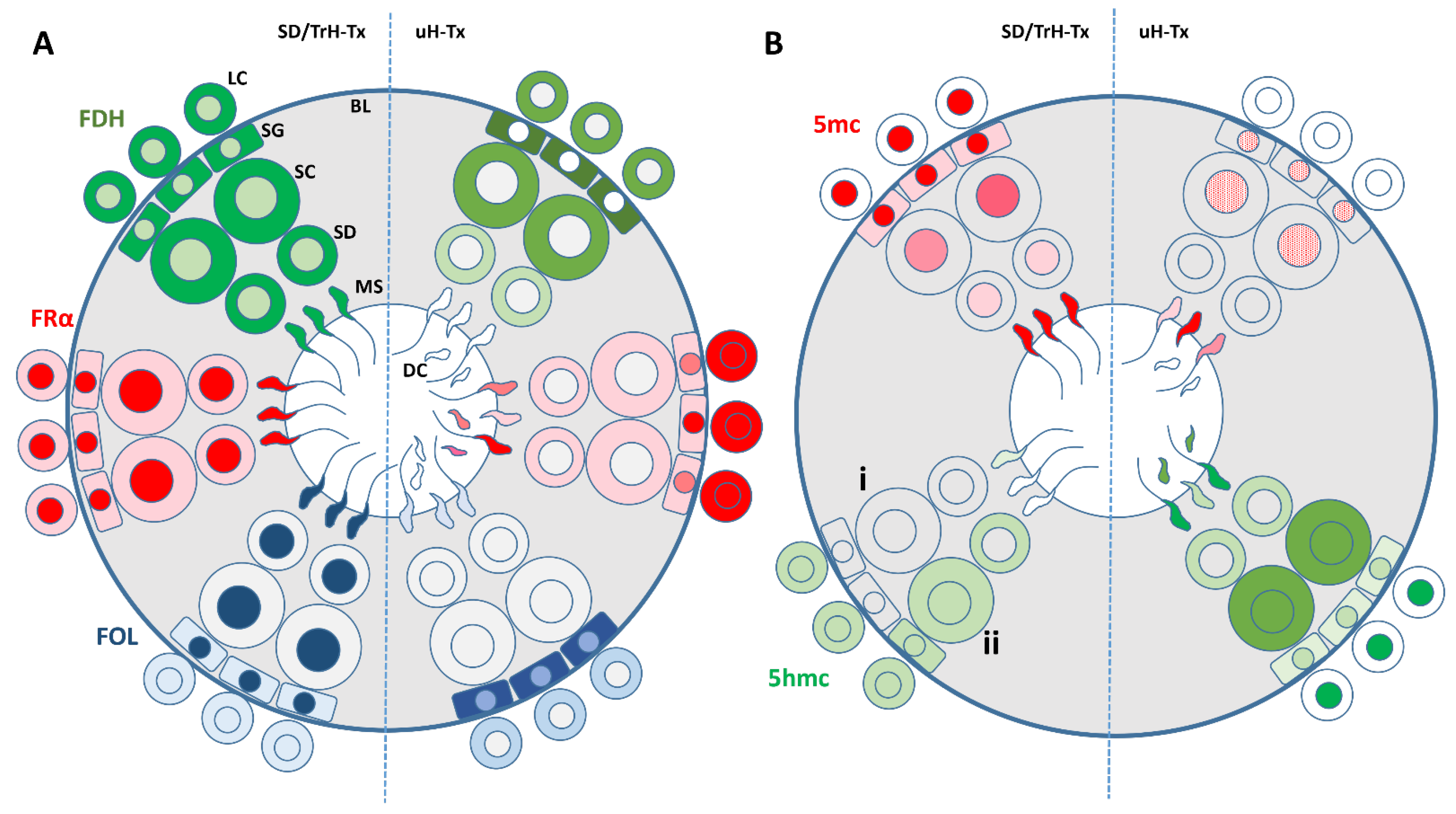 Ijms 24 01638 g006 Ijms 24 01638 g006