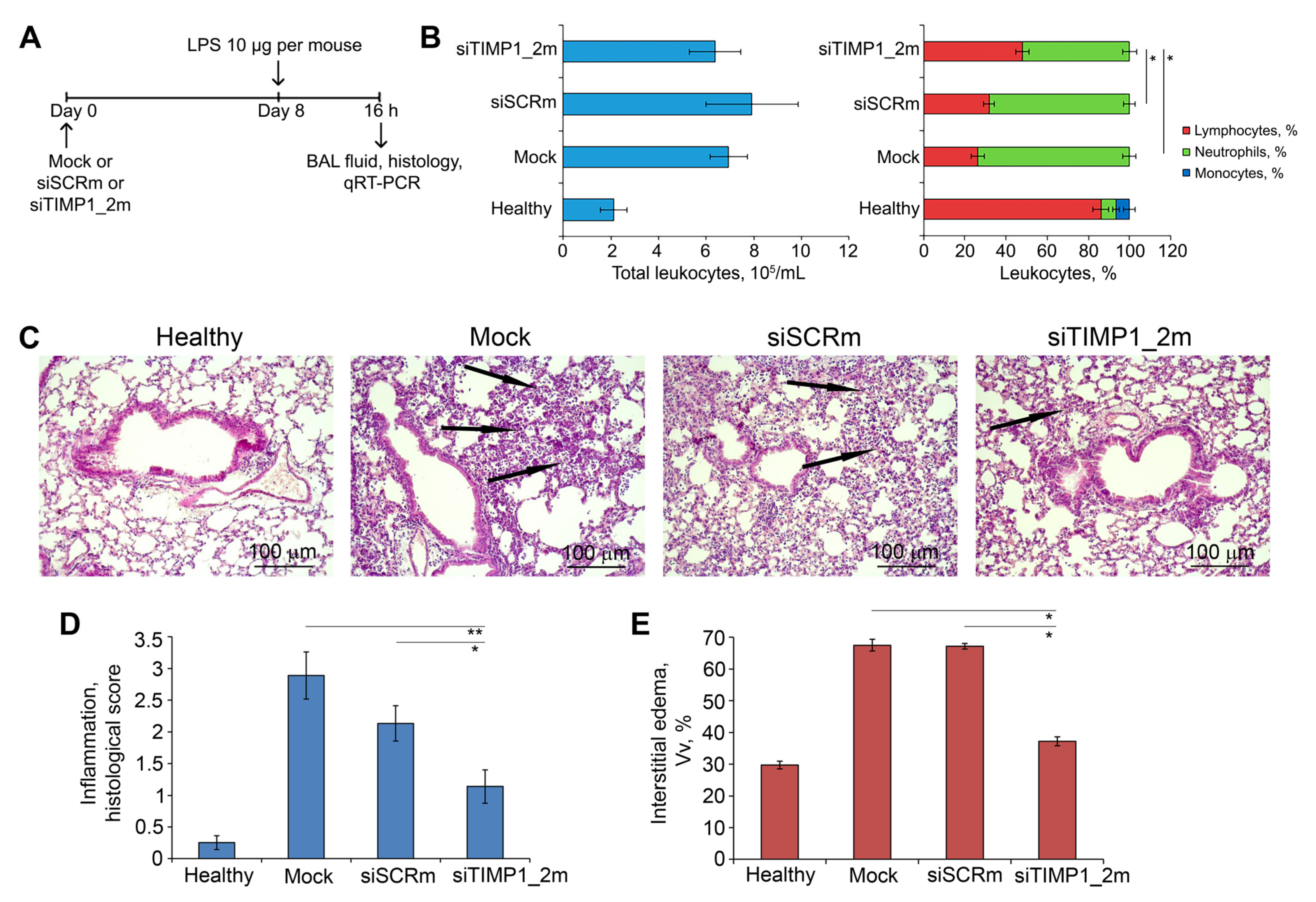 Ijms 24 01641 g008 Ijms 24 01641 g008