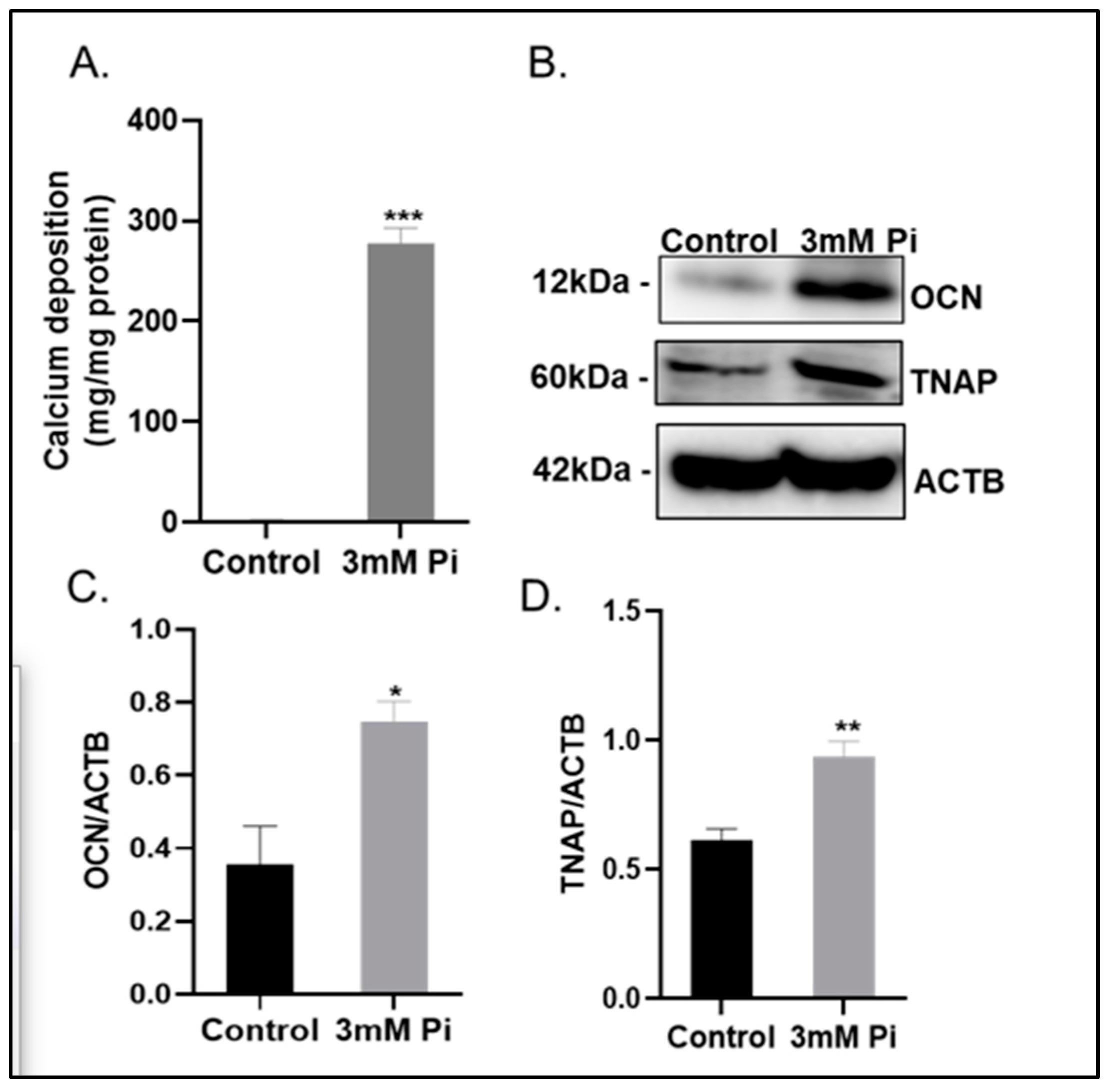 Ijms 24 01643 g001 Ijms 24 01643 g001
