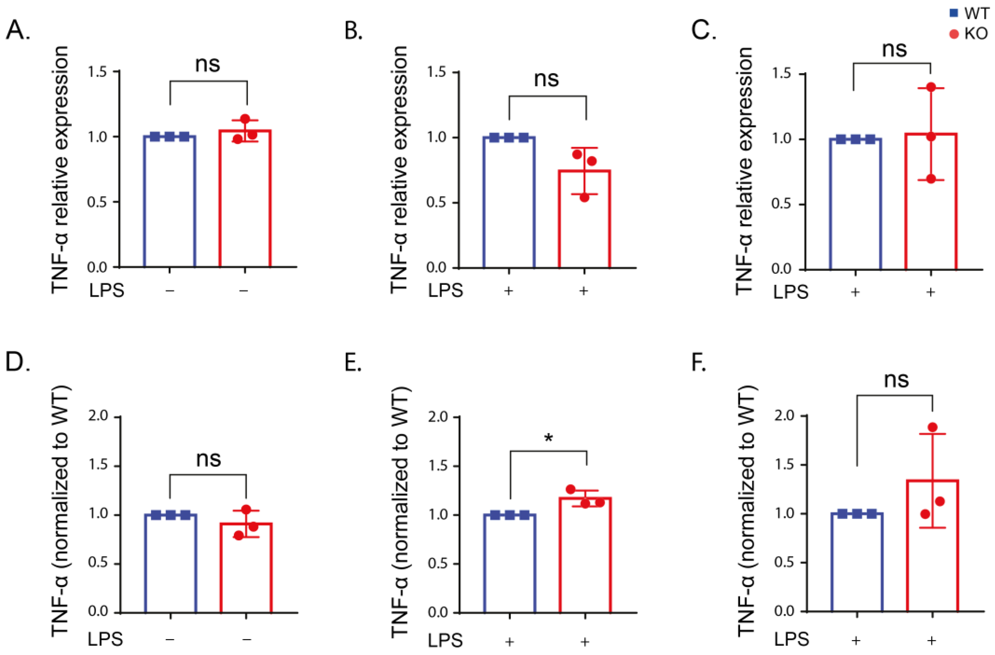 Ijms 24 01644 g005 Ijms 24 01644 g005